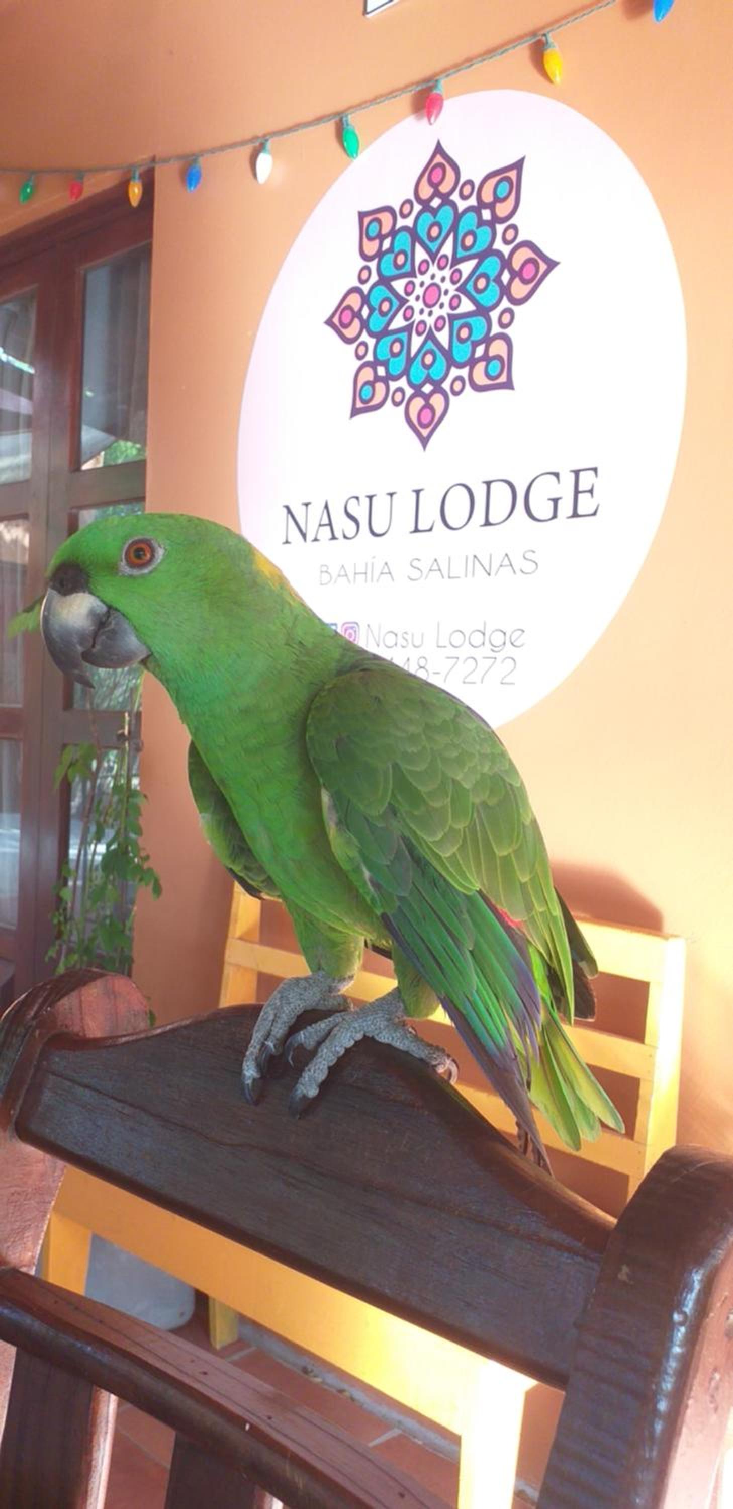 Nasu Lodge