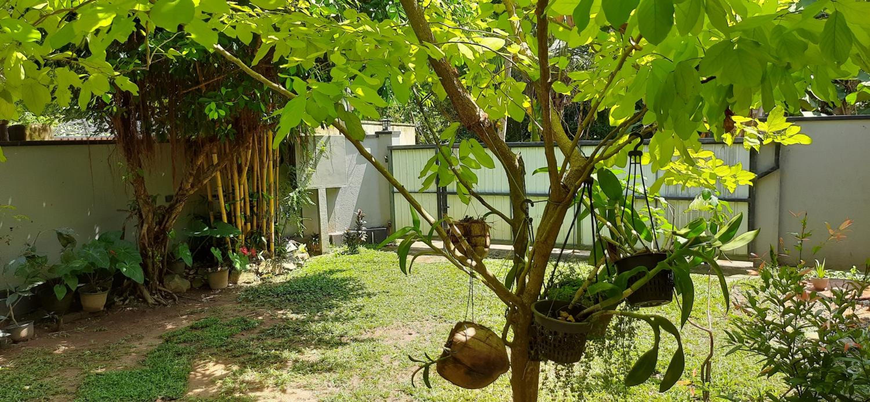 Sunil's Villa