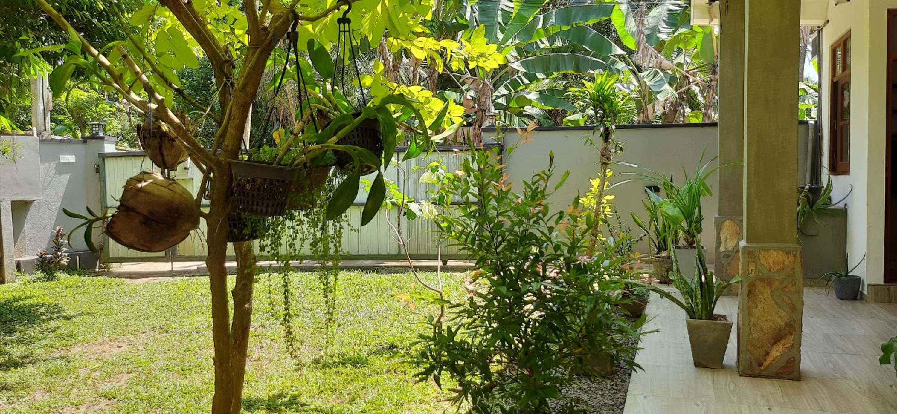 Sunil's Villa