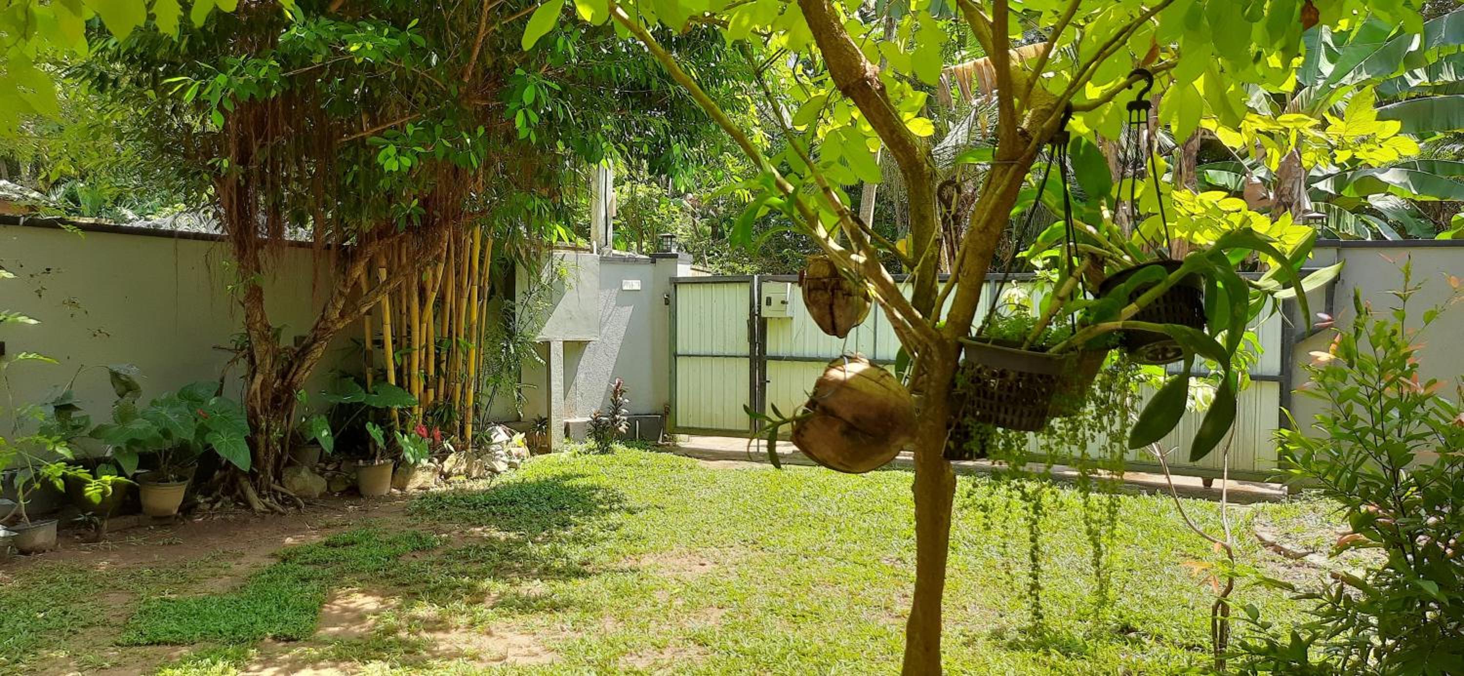 Sunil's Villa