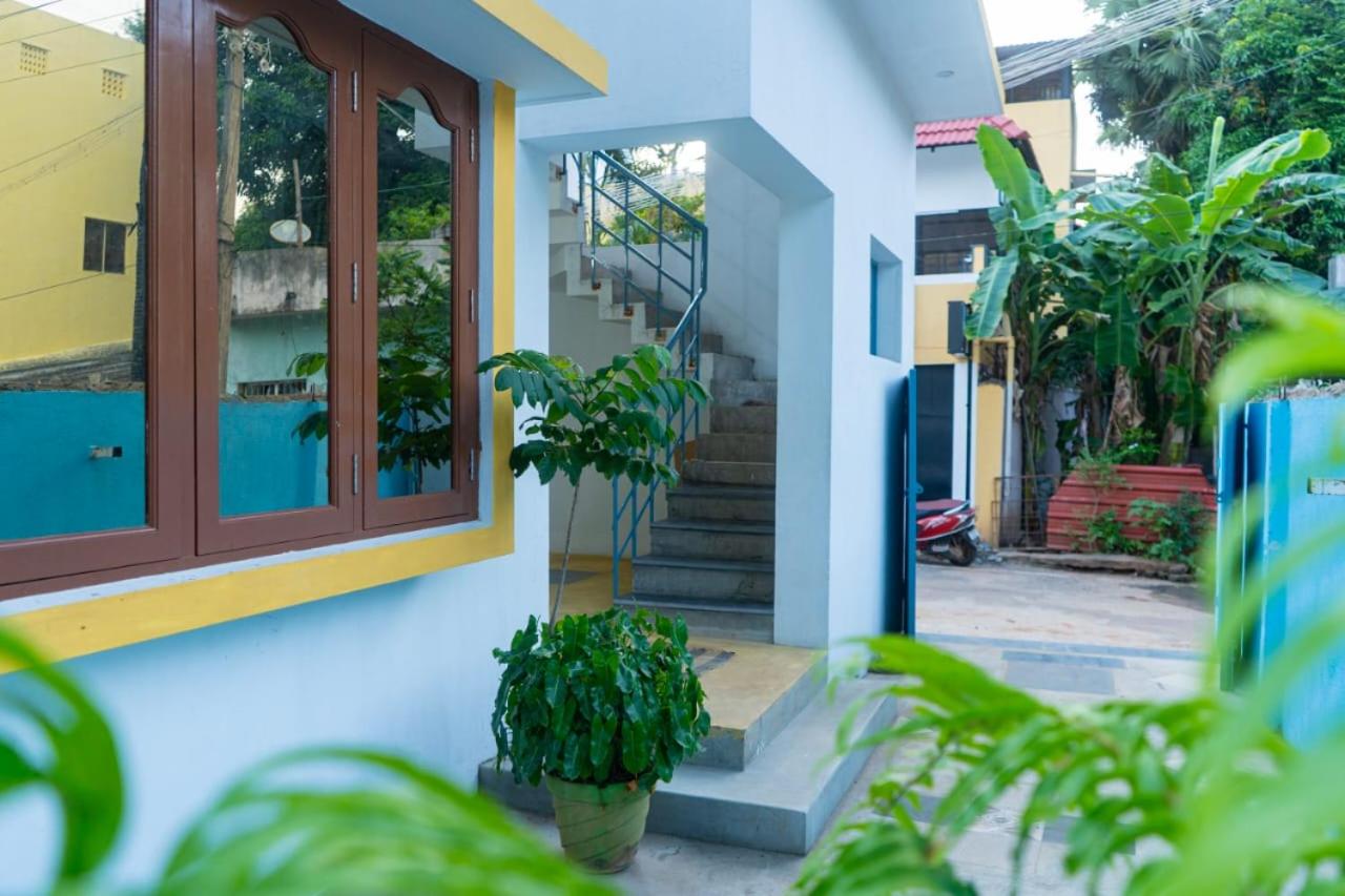 Paradise Palmtree Homestay
