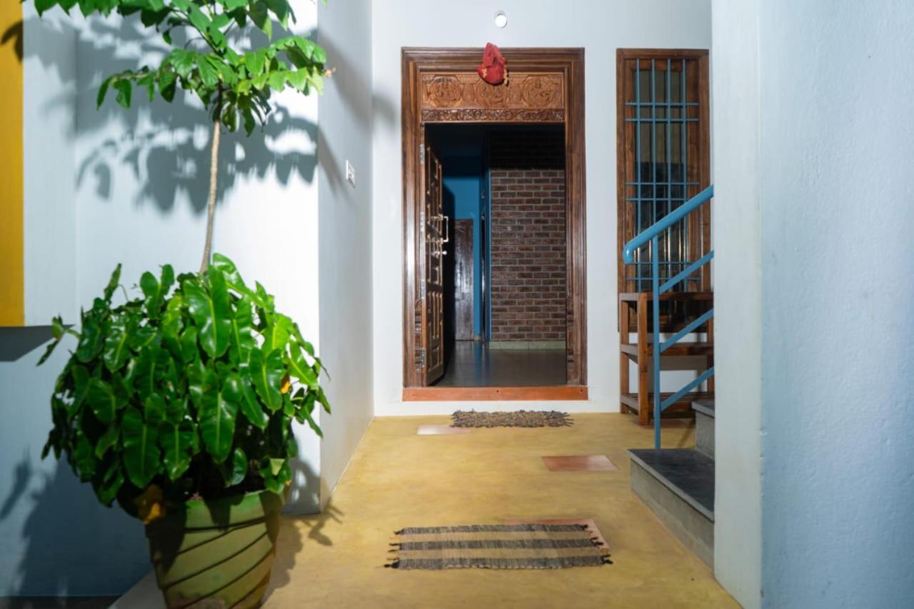 Paradise Palmtree Homestay