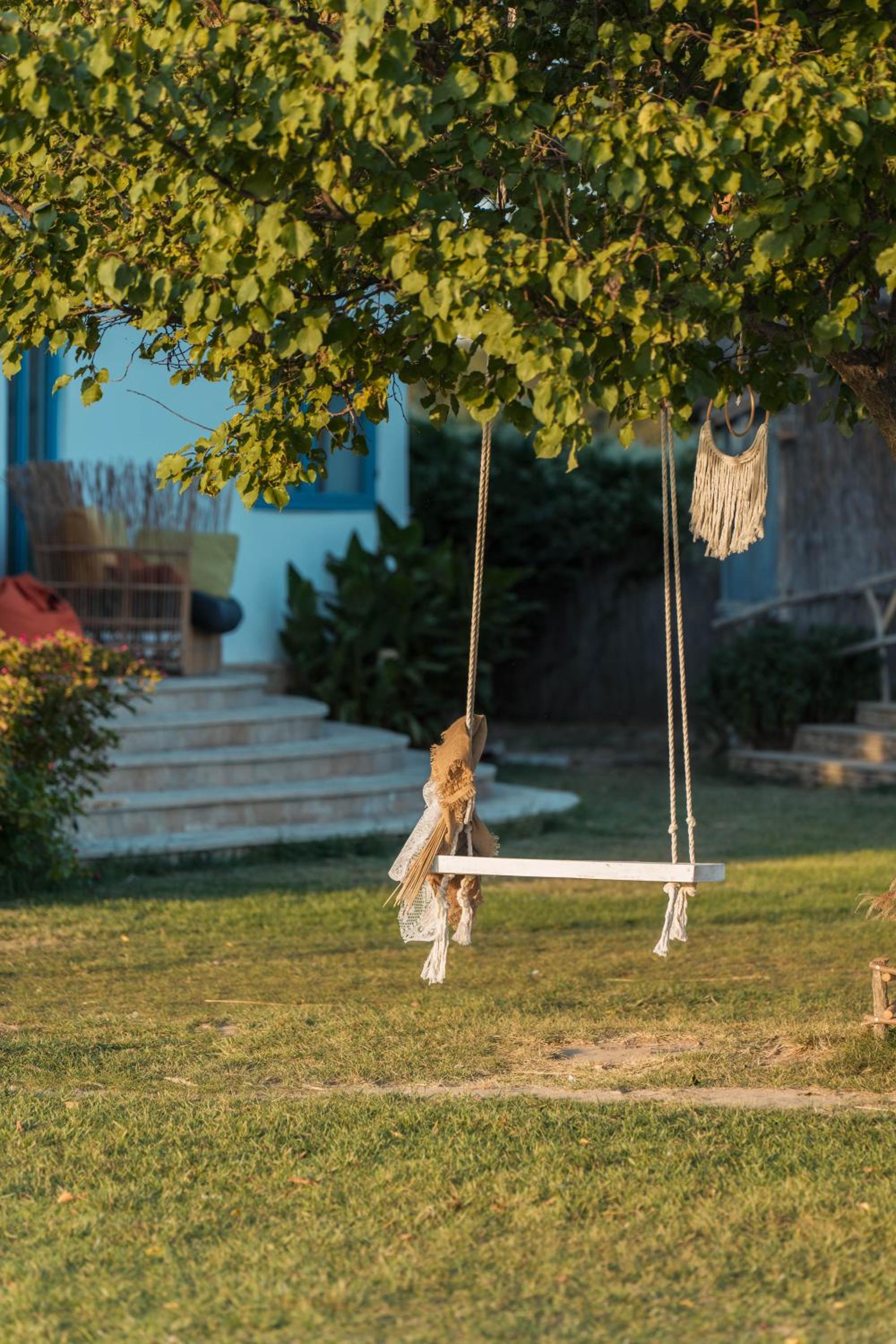 Photo 44