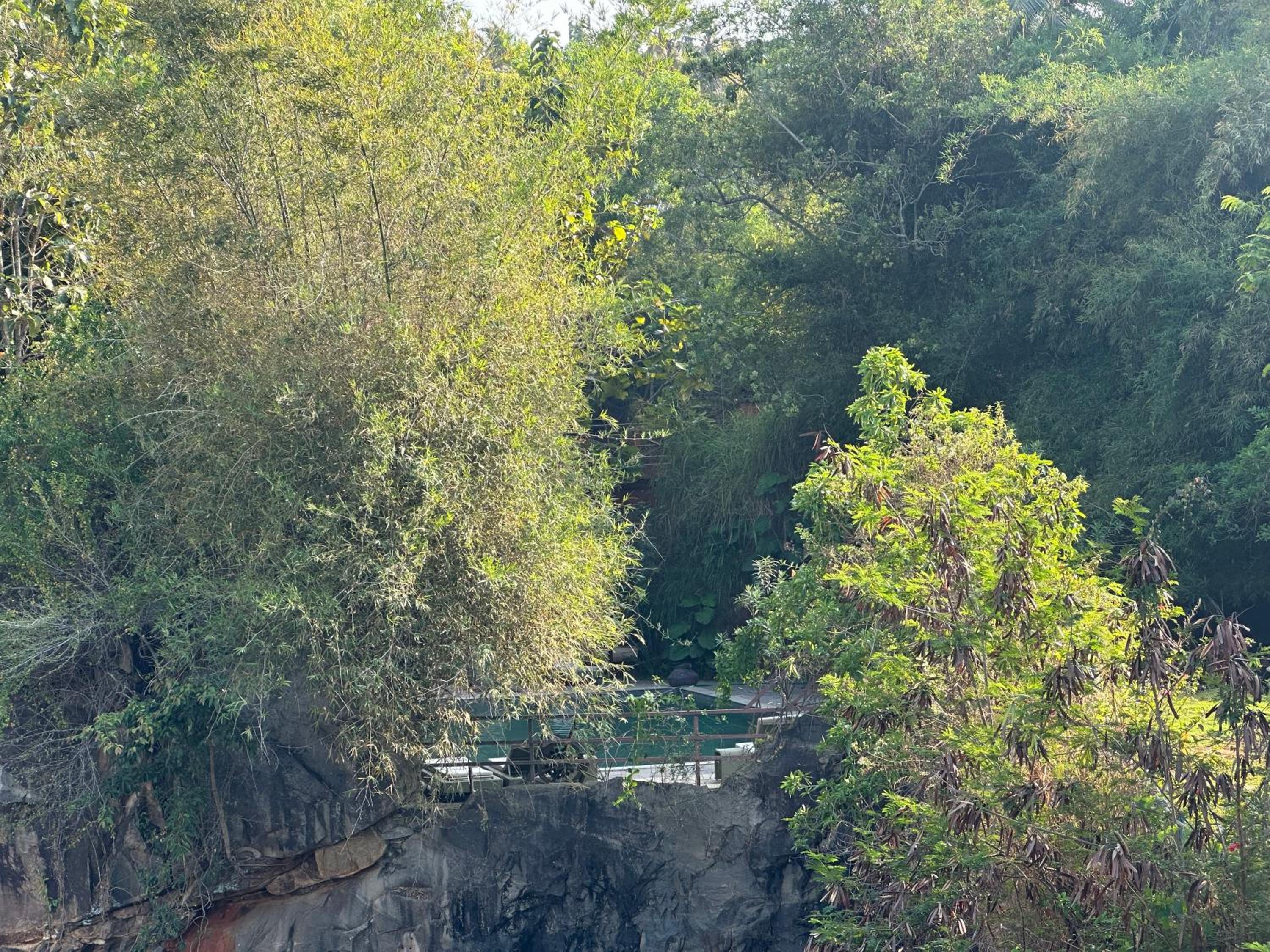 Kovalam Vacations - AMARA AYURVEDA RETREAT- Overlooking Evergreen Western Ghats an ecologically sustainable living space in Kovalam - Property Image 29