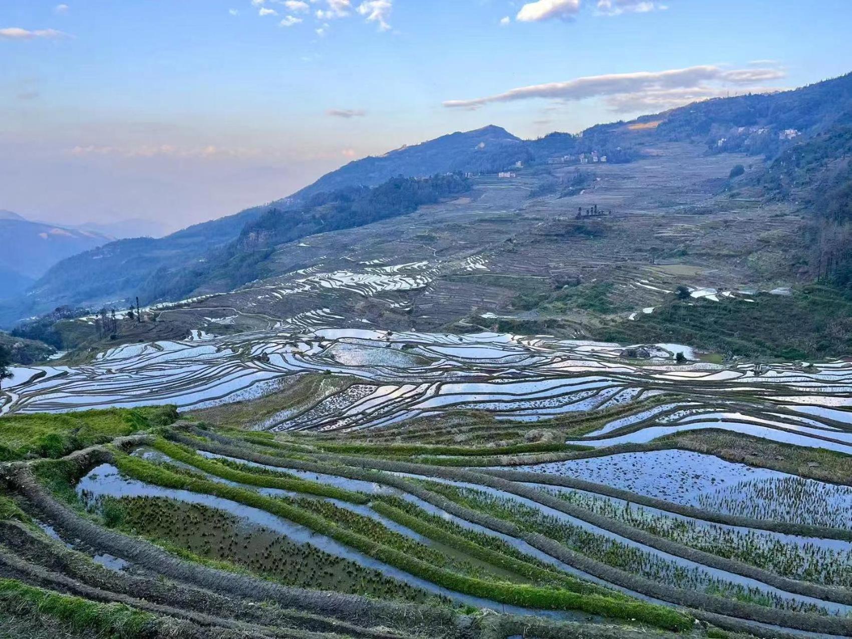 Yuanyang Flower and Horse Inn
