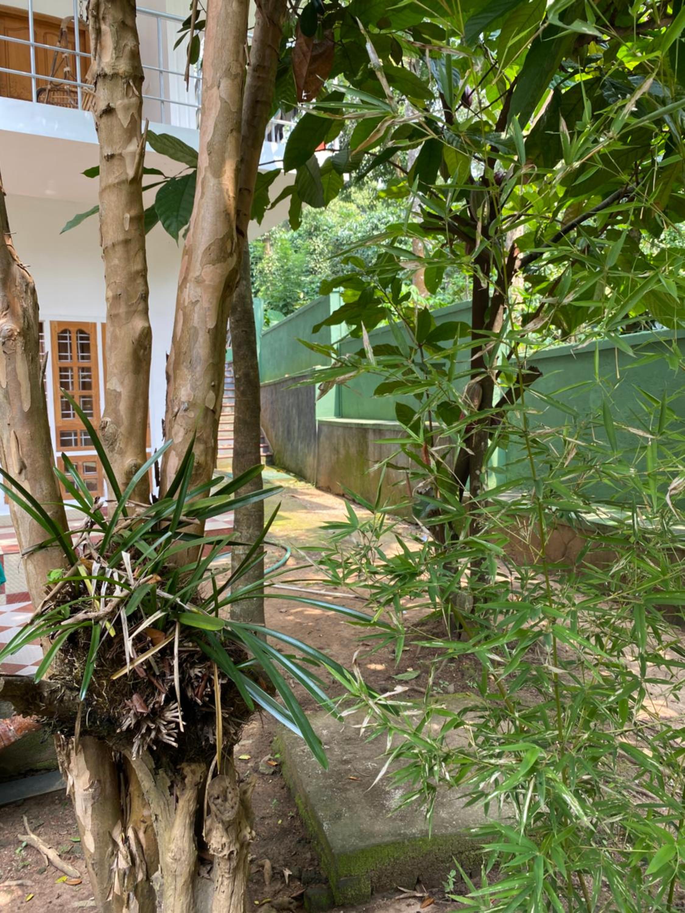 Tranquilou homestay