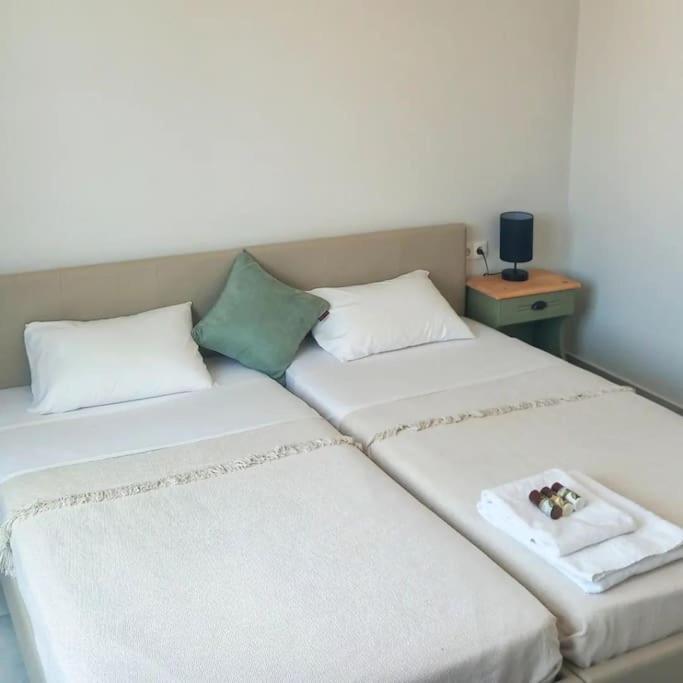 Beautiful 2 bedroom villa with private plunge pool