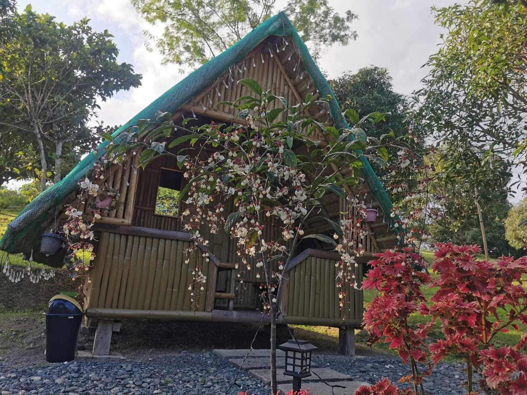 Glamping, Camping, or Tent Stay at Humming Farm view 3