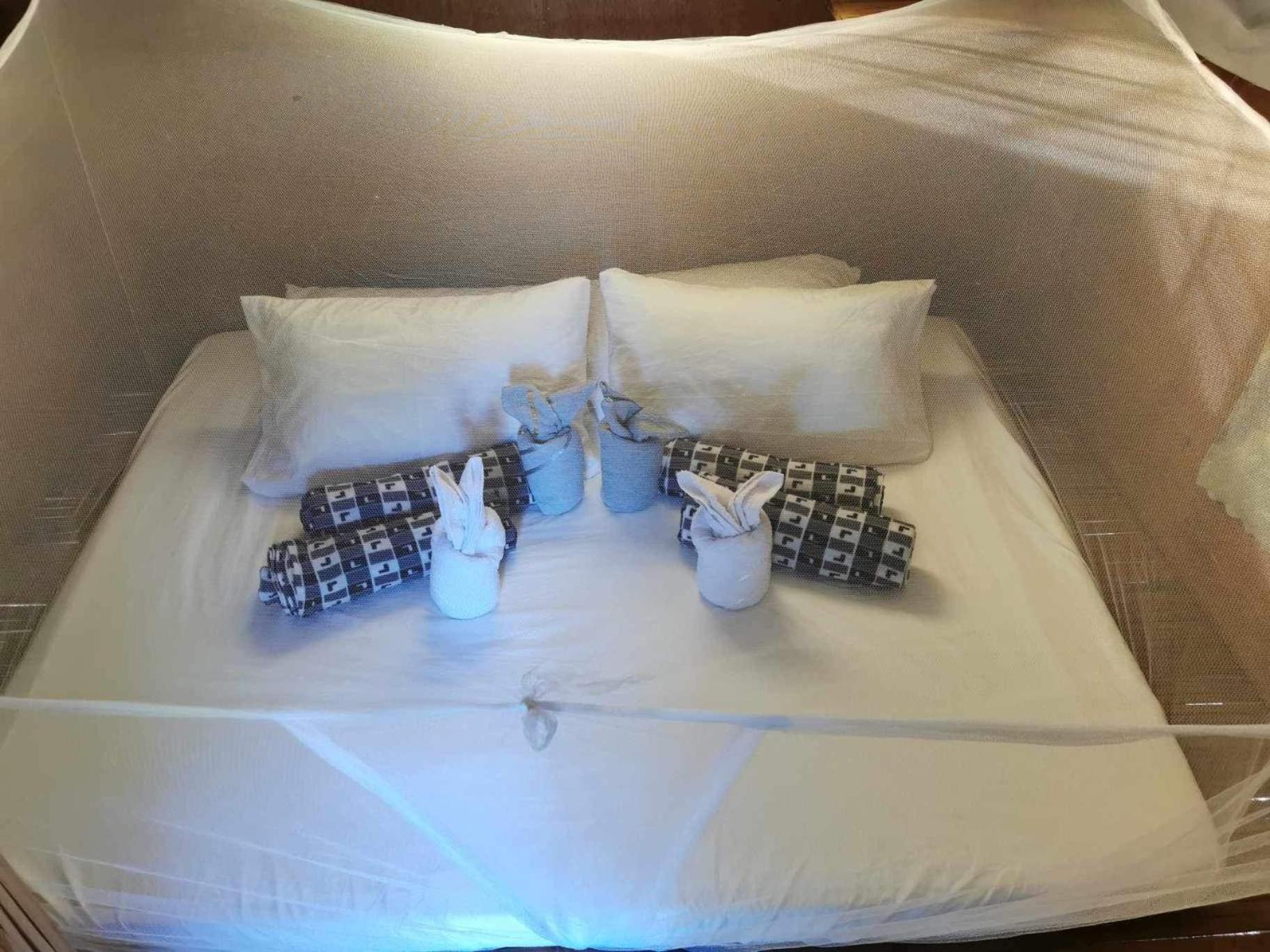 Glamping, Camping, or Tent Stay at Humming Farm view 4