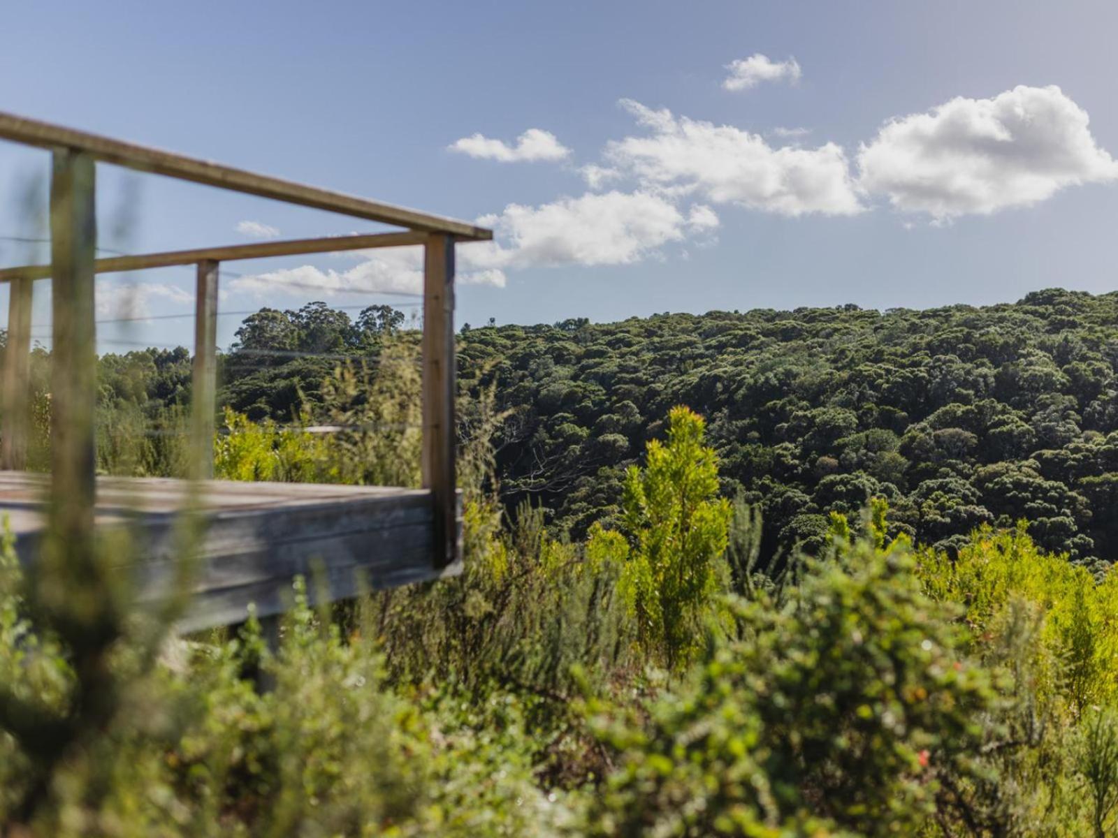 Cliffside Suites