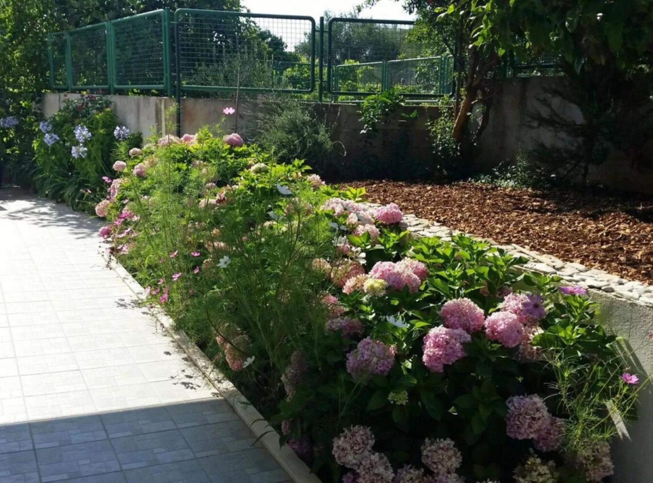 Apartment Ivica view 4