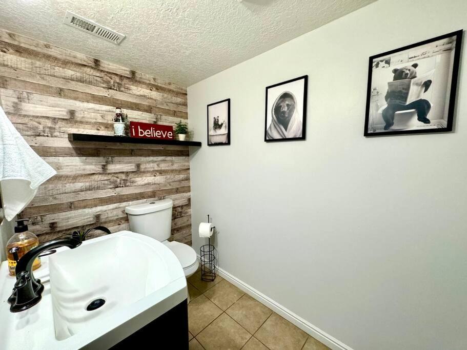 Photo 11