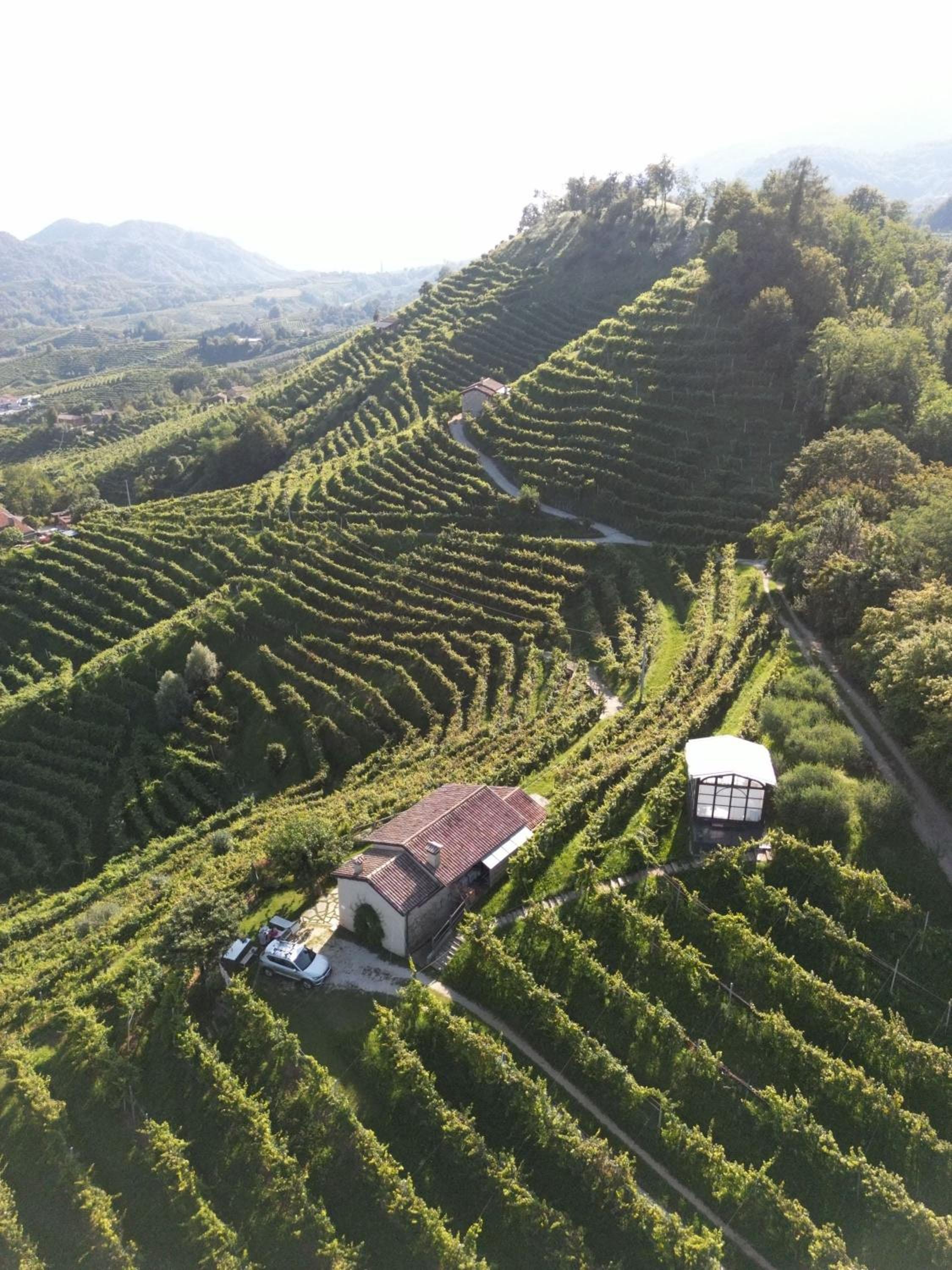 Agriturismo Il Conte Vassallo