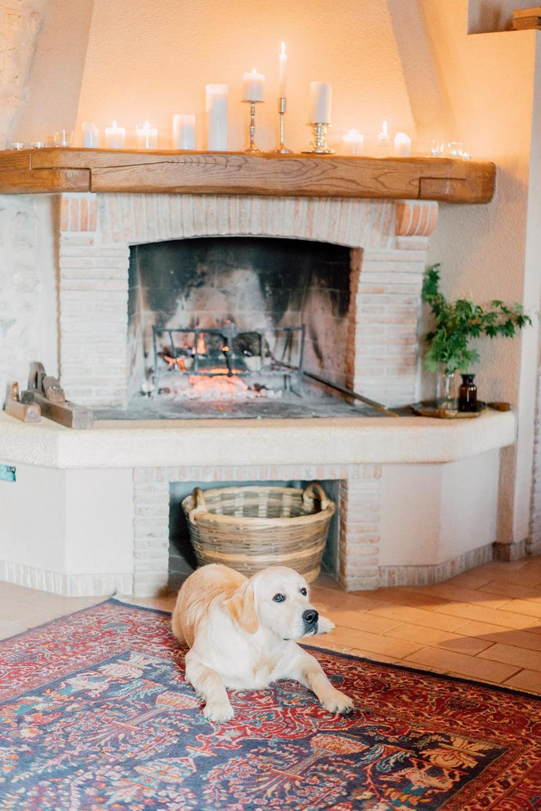 Agriturismo Il Conte Vassallo