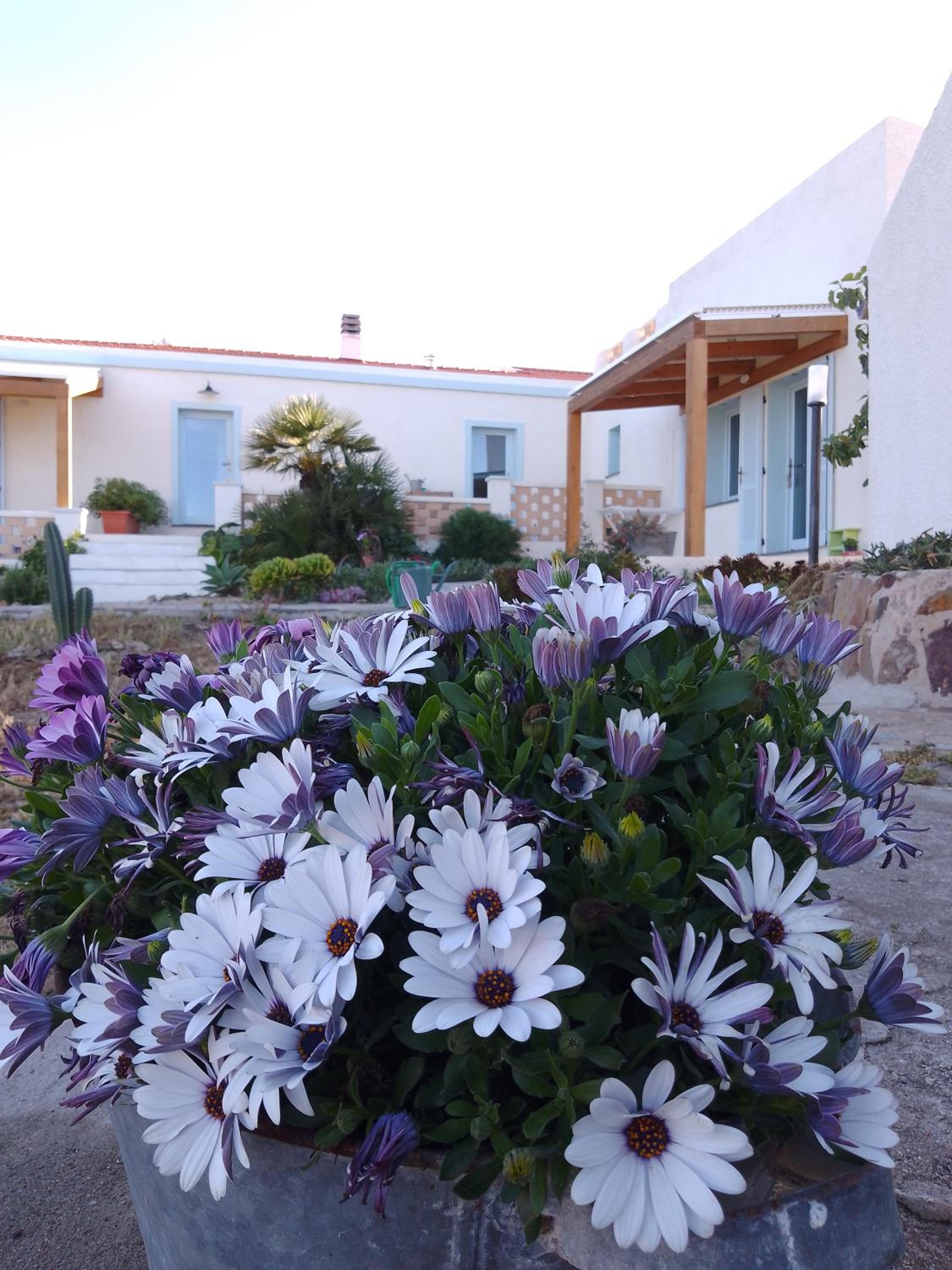 Lispusada Agriturismo Adults Only