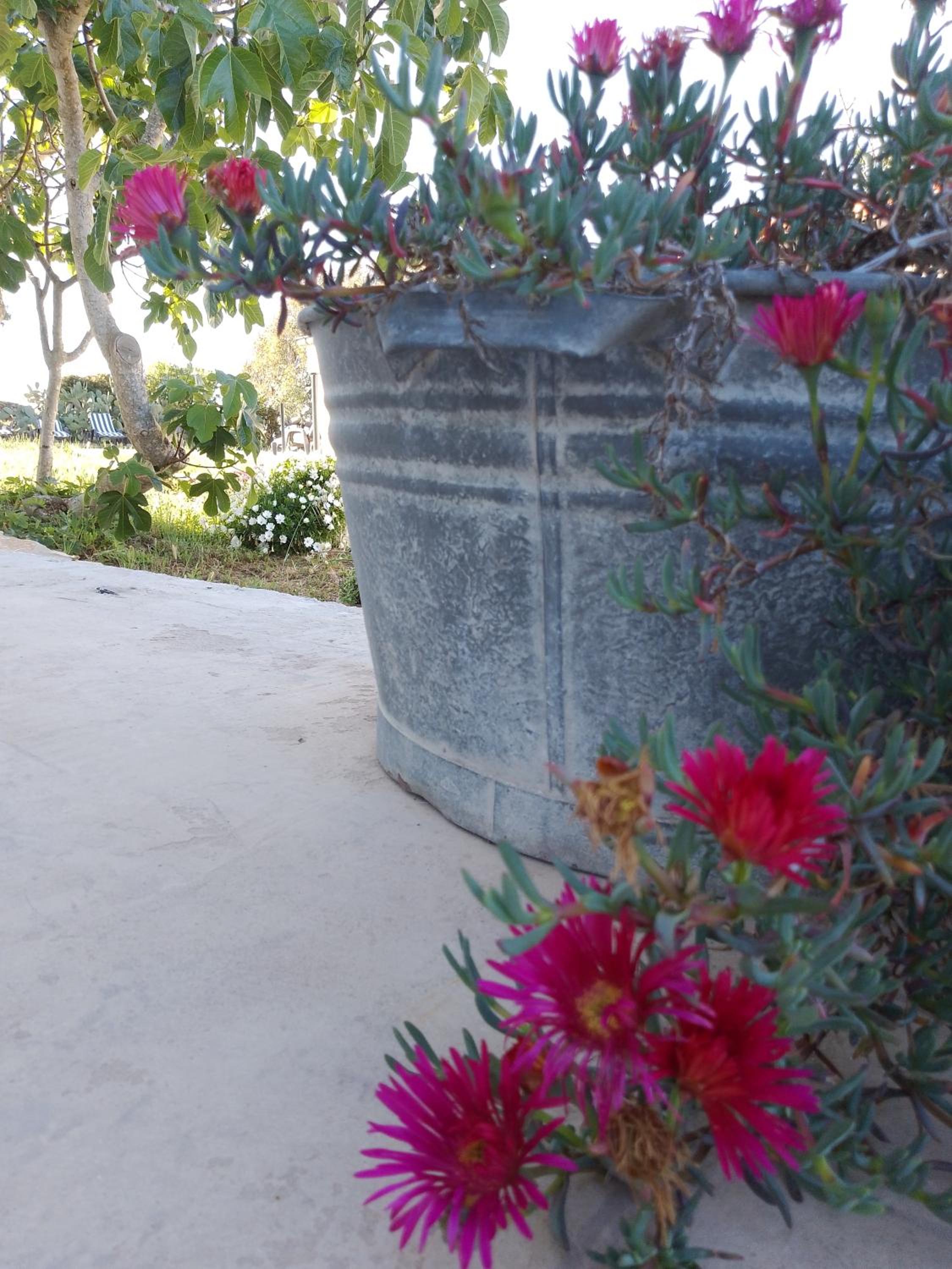 Lispusada Agriturismo Adults Only