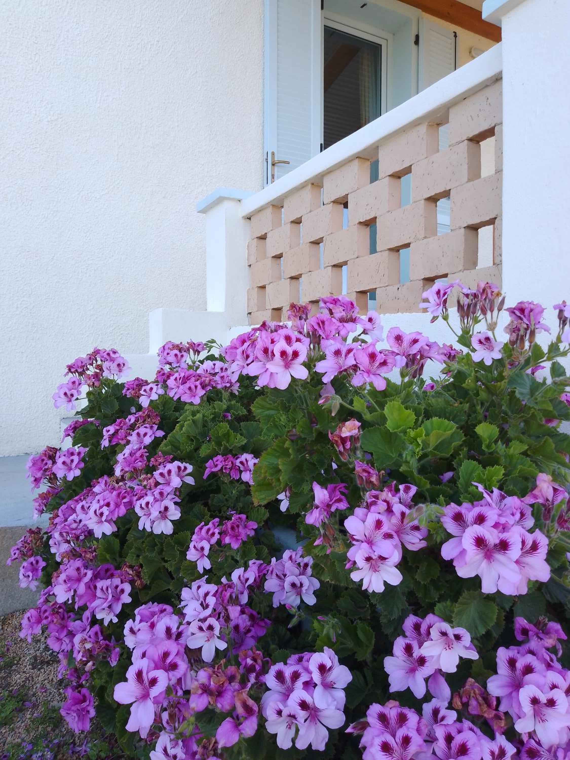 Lispusada Agriturismo Adults Only