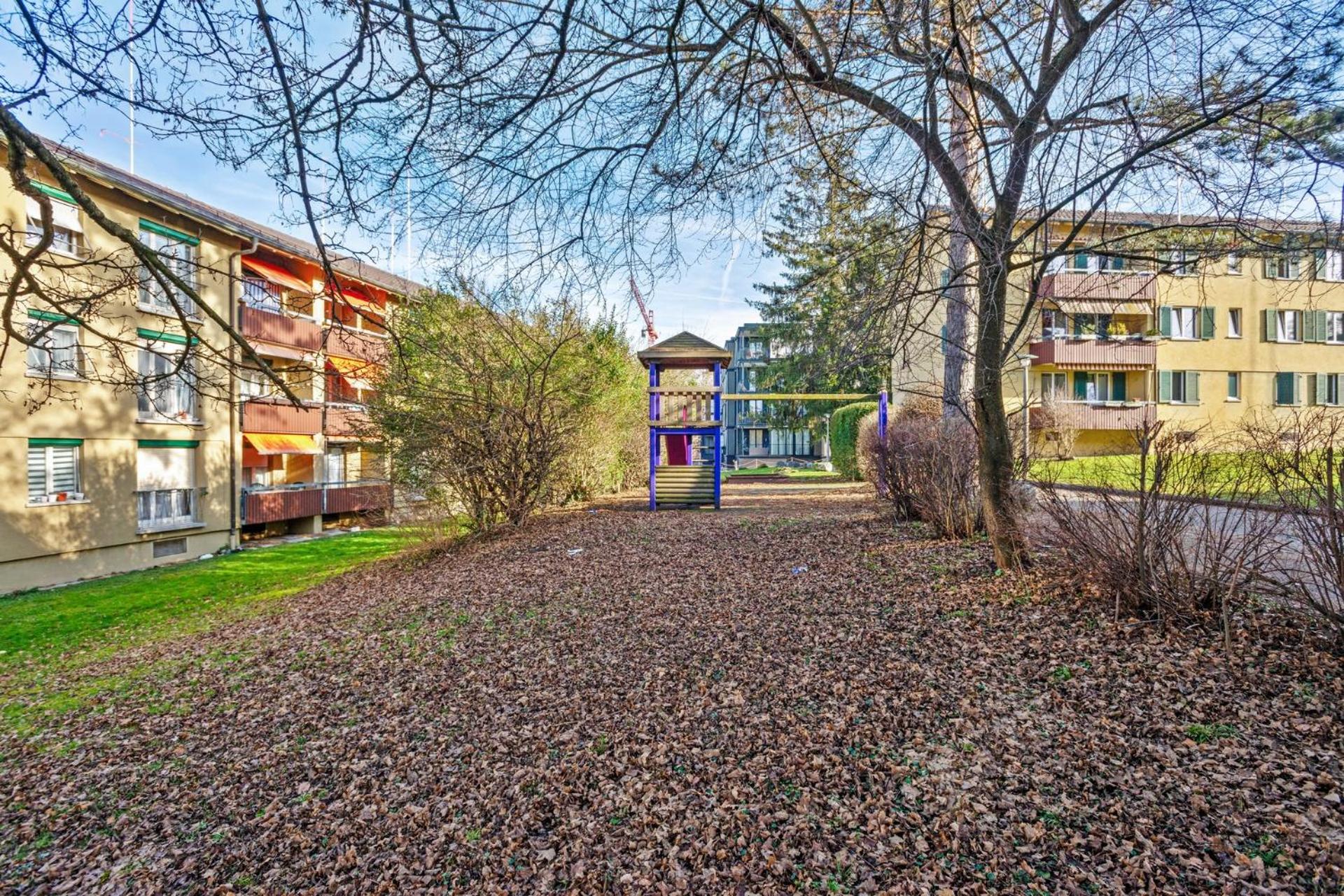 Altwiesenstrasse 144