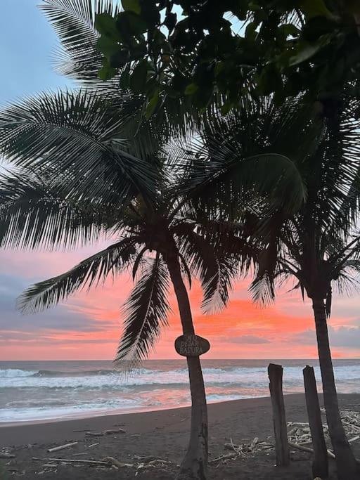 A Piece of Paradise