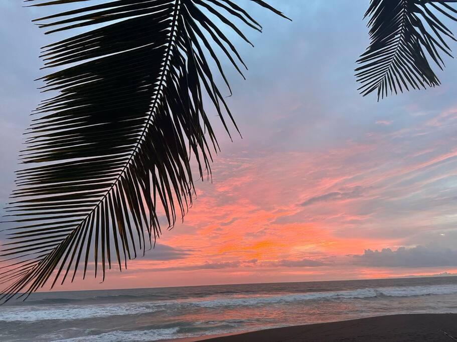 A Piece of Paradise