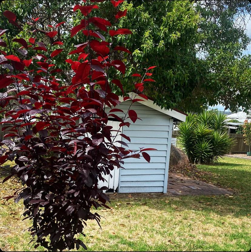 Charming Mid Century Bungalow- Entire home