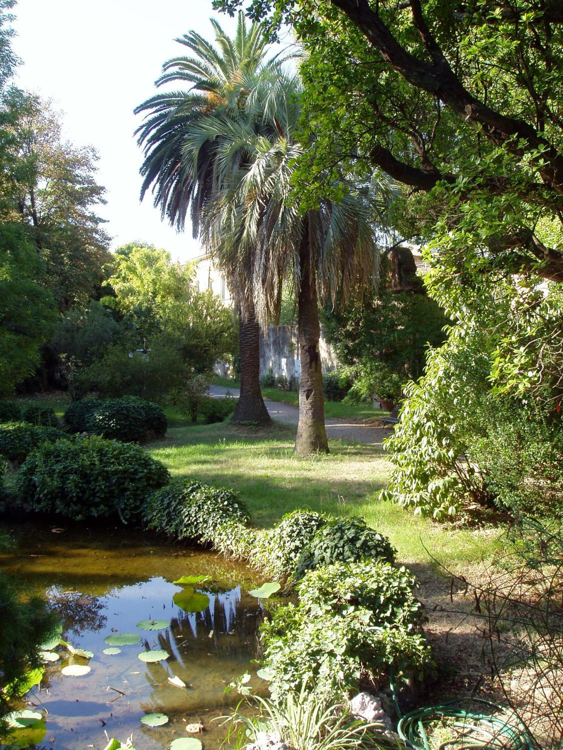 Hagley Park Hidden Gem view 5