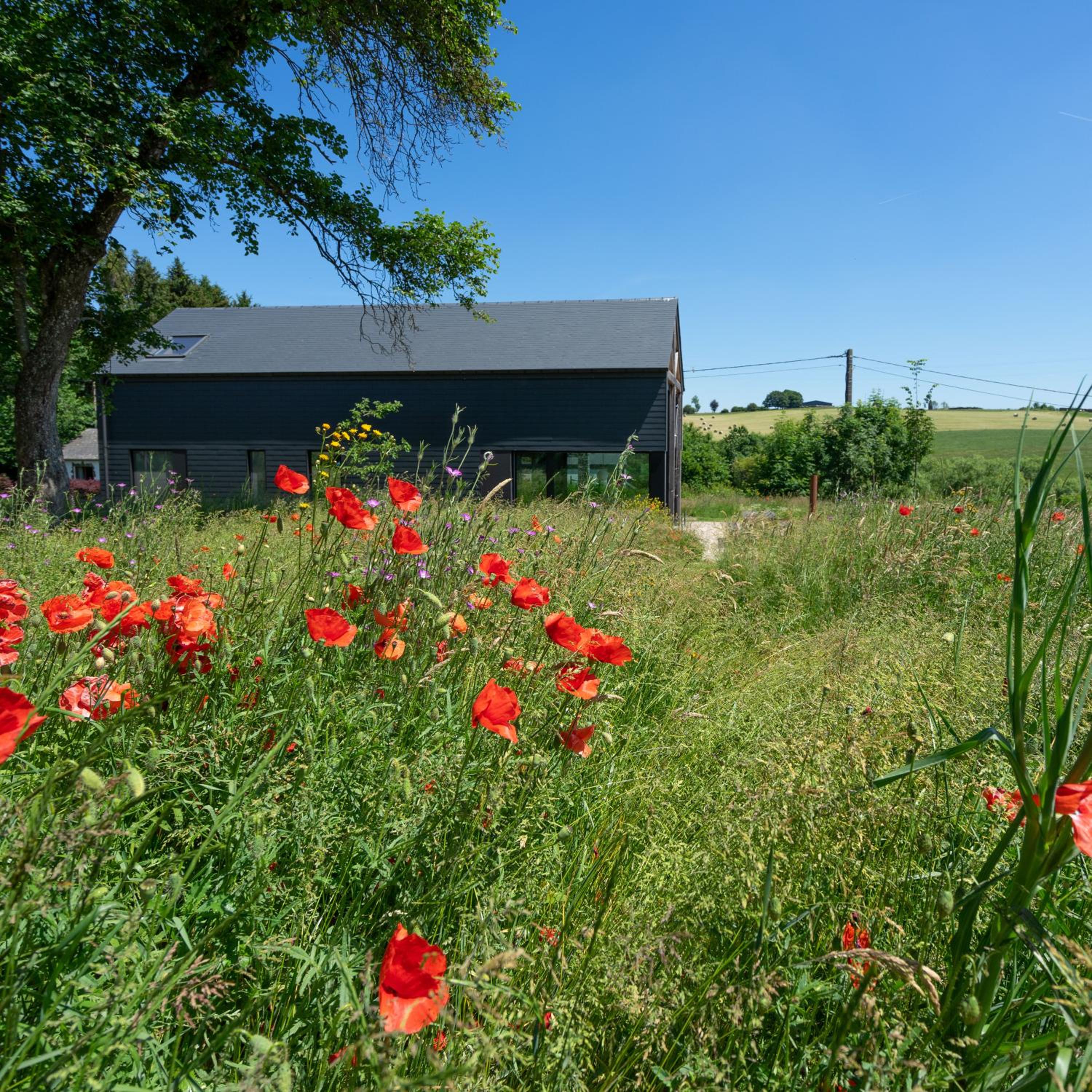 Arduenna Silva ecologic designer house