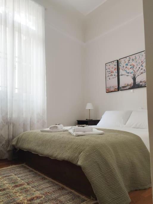 Calliope's Neoclassical Home in the heart of Plaka