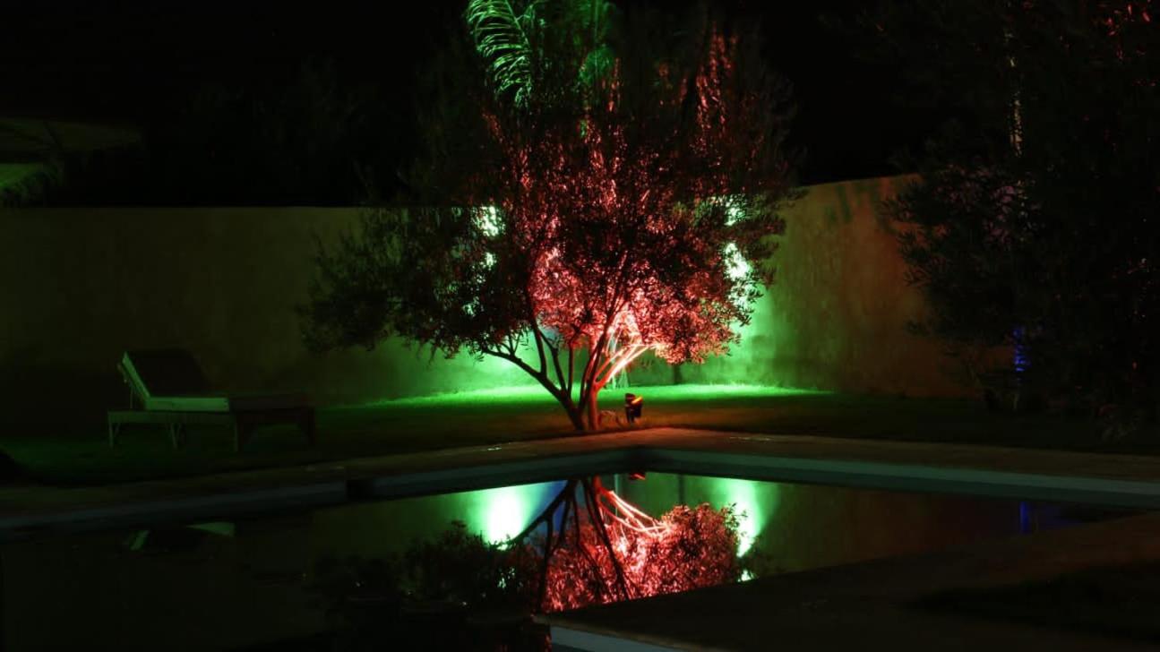 Photo 41