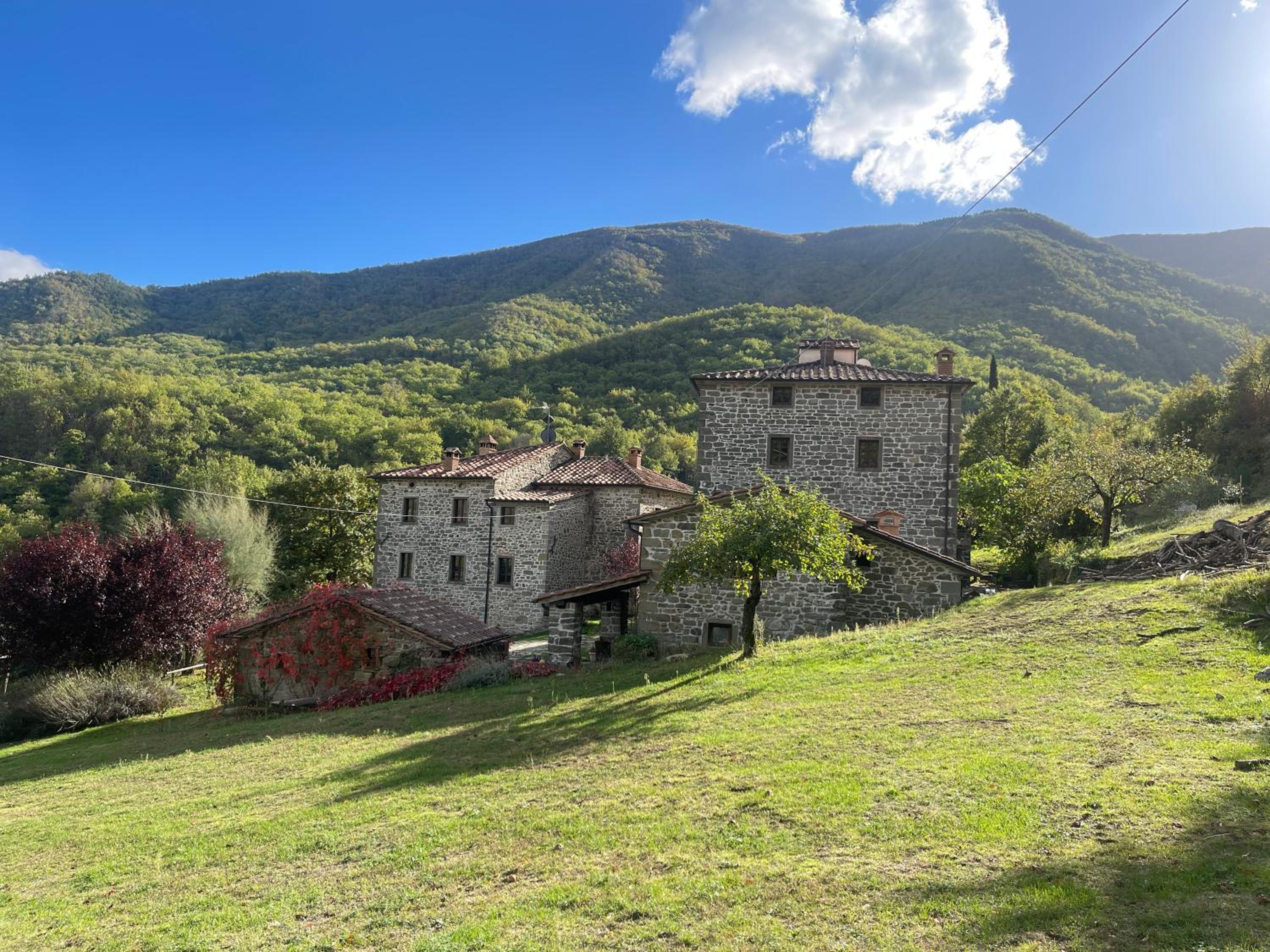 Bio Agriturismo Il Vigno - Pool Sauna Nature - Farm To Table Food - Wild Tuscan countryside - Adults Only - Your Place to Breathe view 2