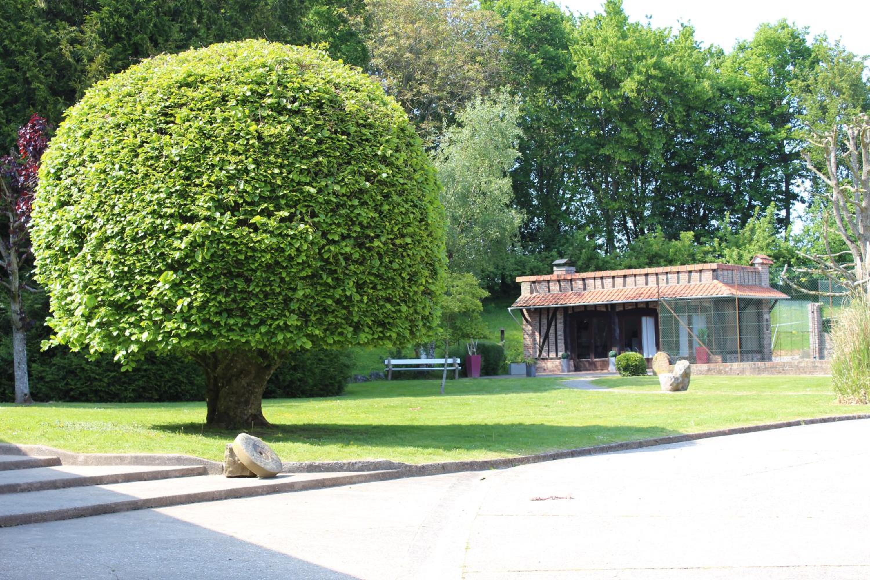 Domaine de l'Olympe