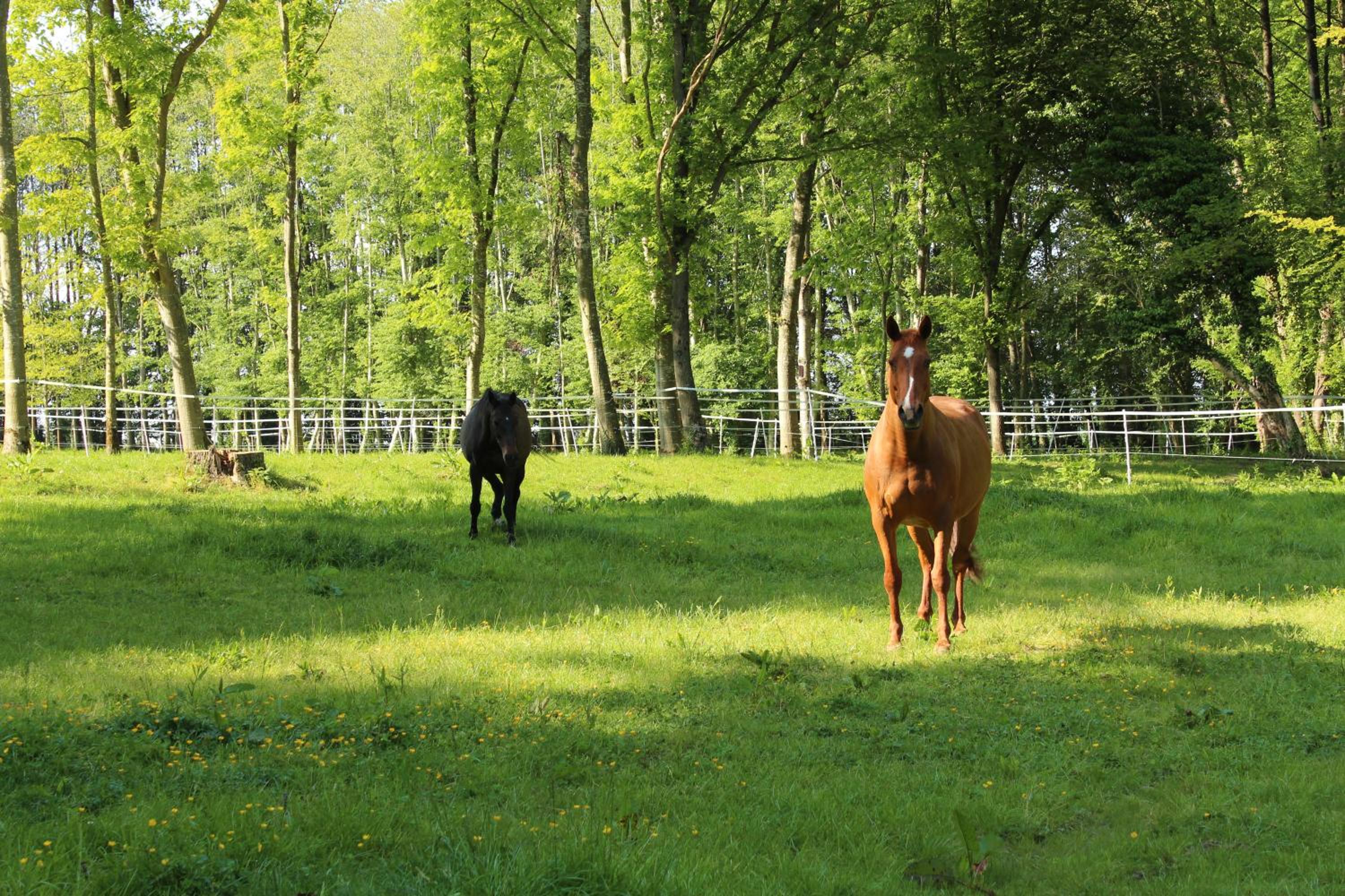 Domaine de l'Olympe