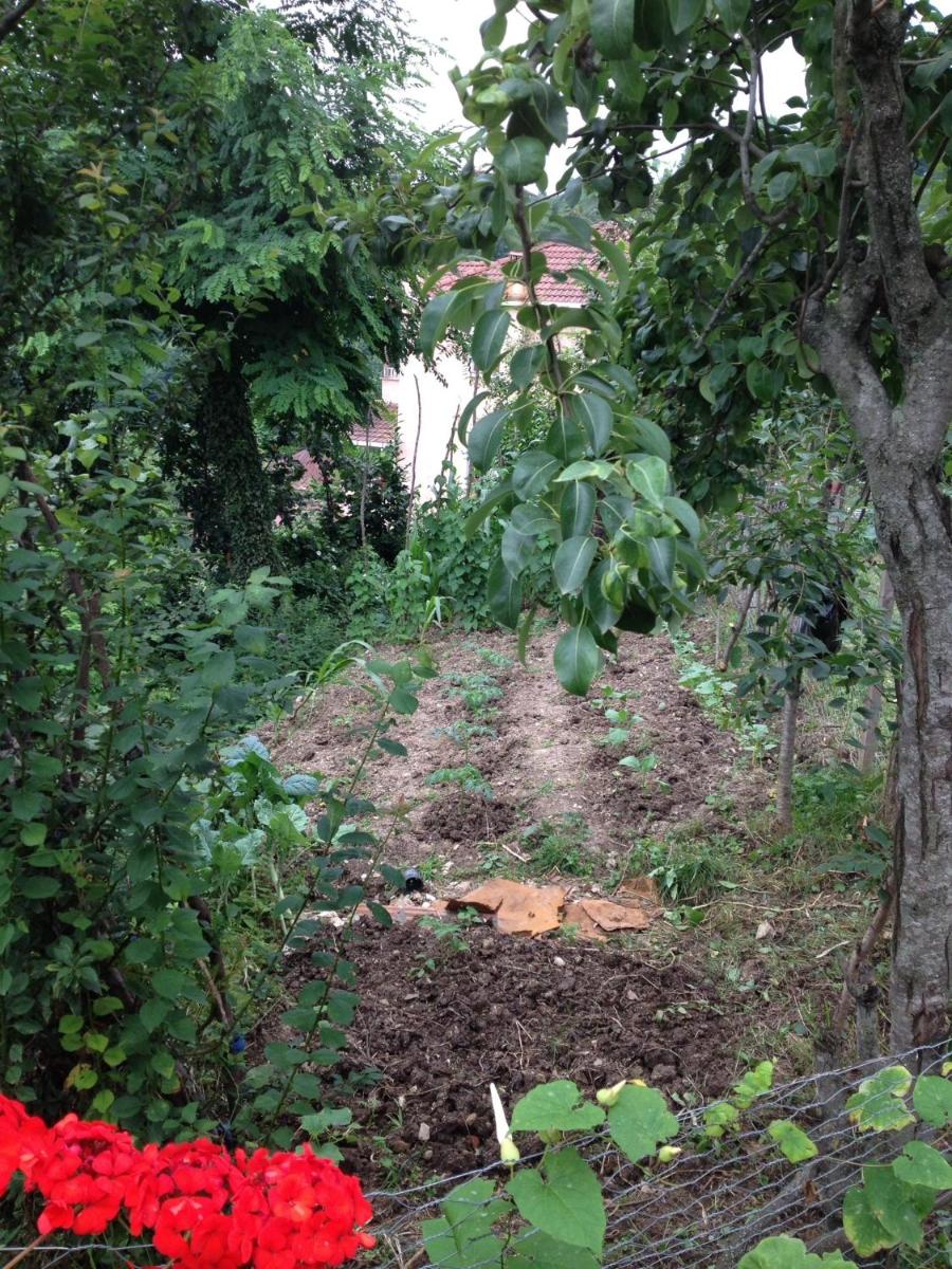 Photo 36