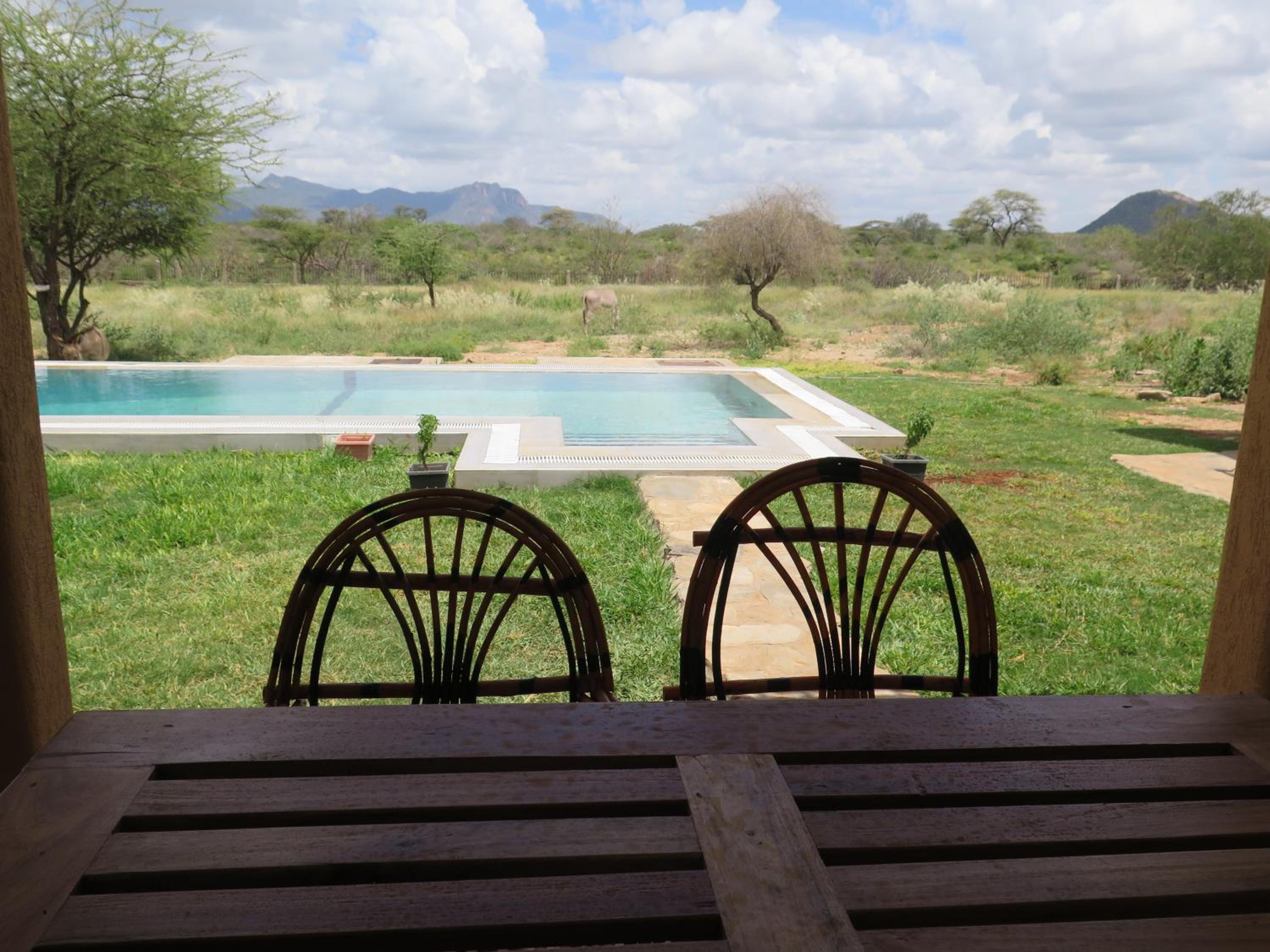 Samburu Dik-Dik Lodge view 5
