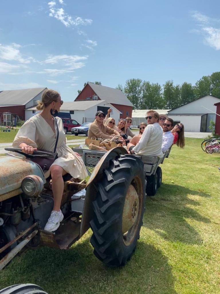 Gangvidefarm