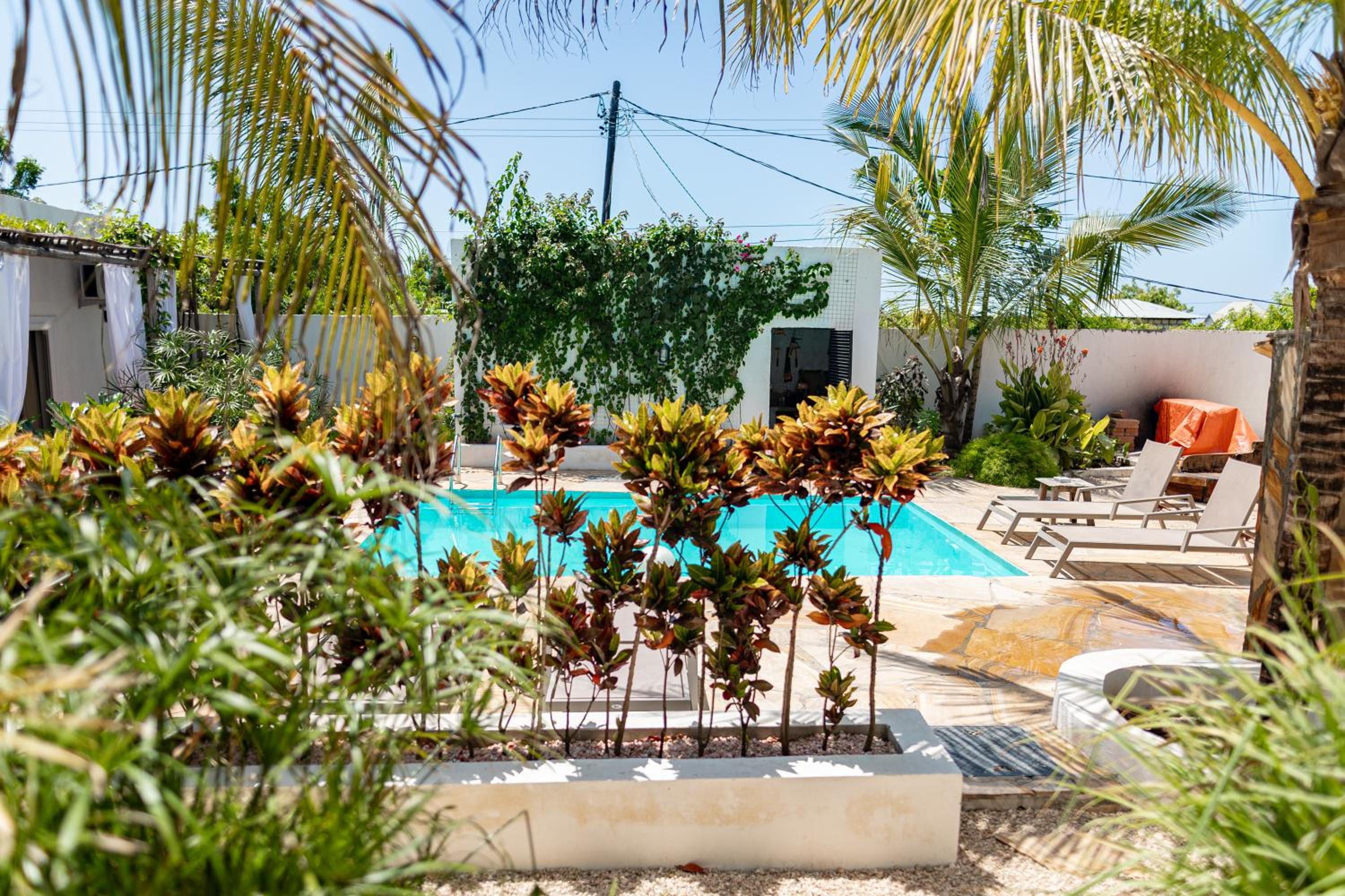 Cactus lodge Zanzibar