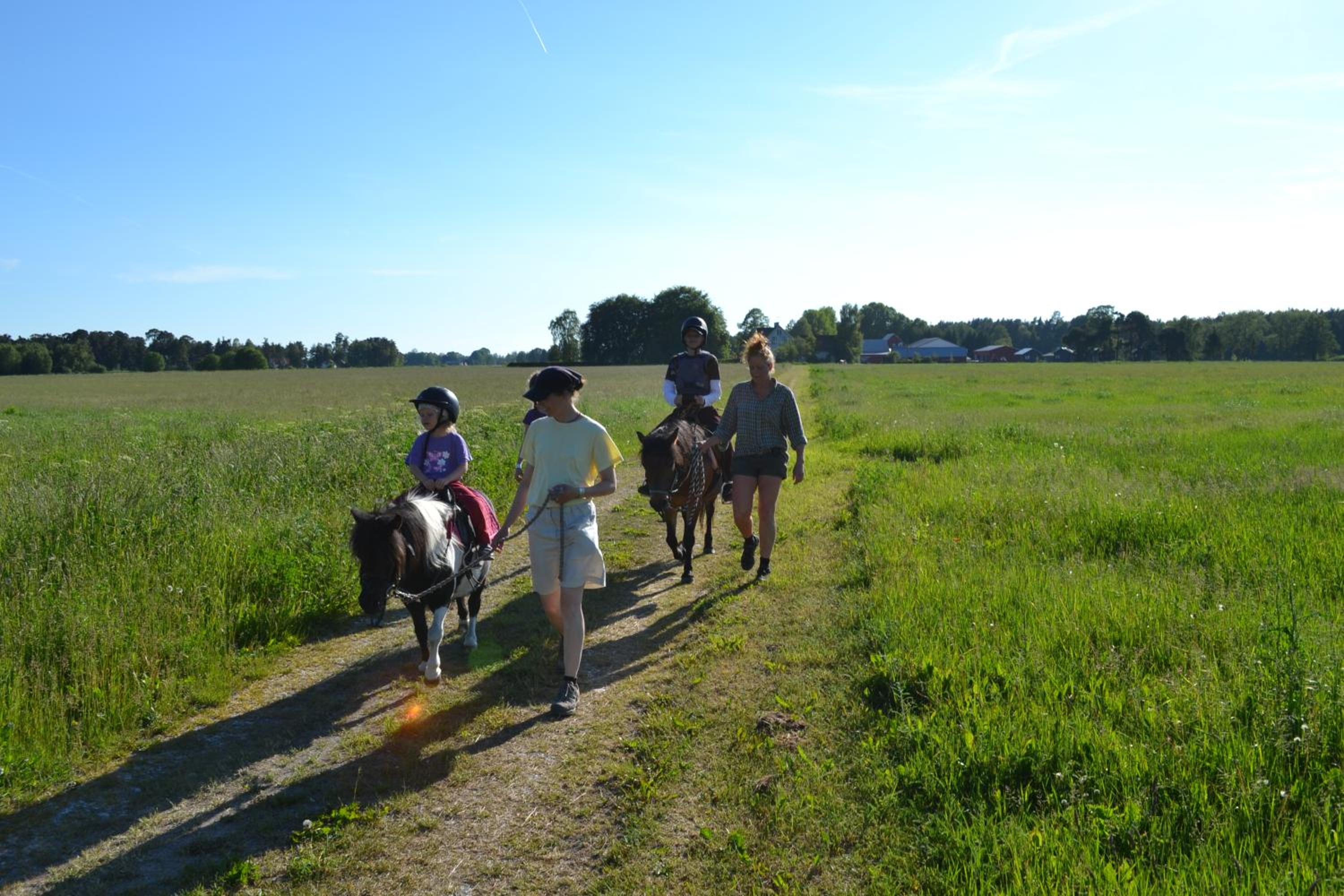 Gangvidefarm