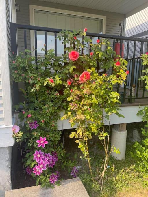 Cozy house in Langley