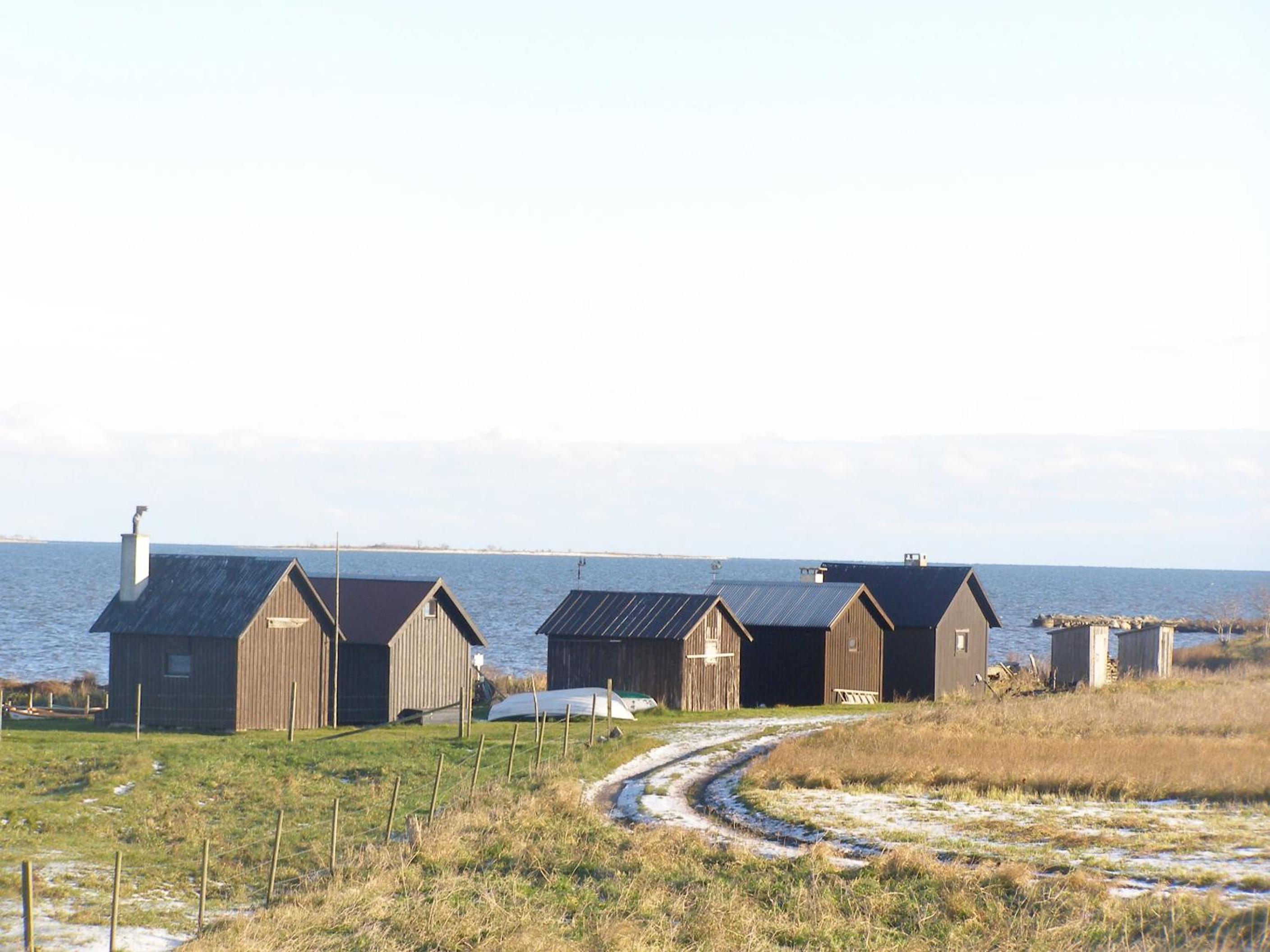 Gangvidefarm