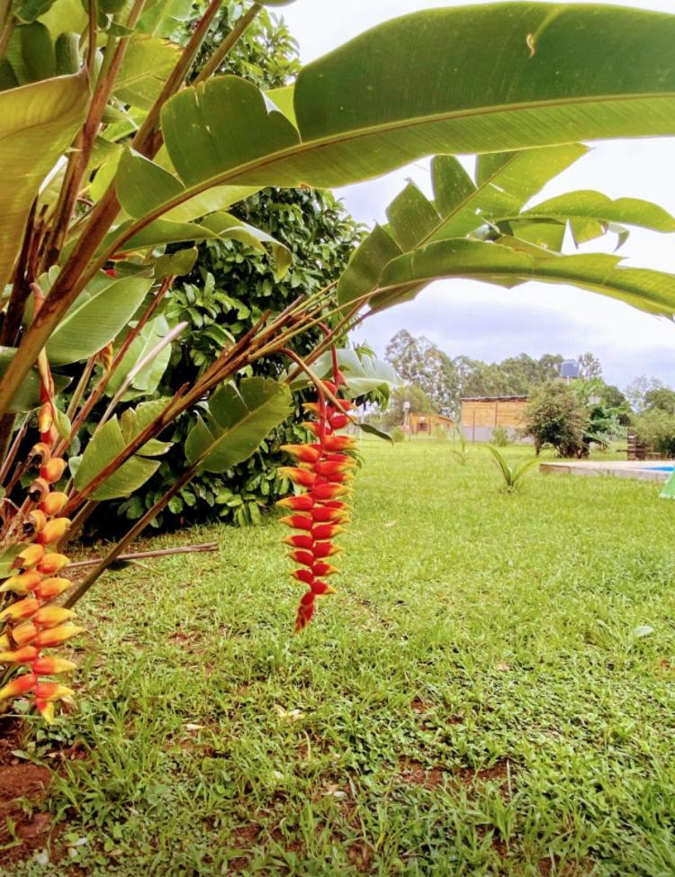 Casa a metros del río Paraná y próximo a los Esteros del Iberá