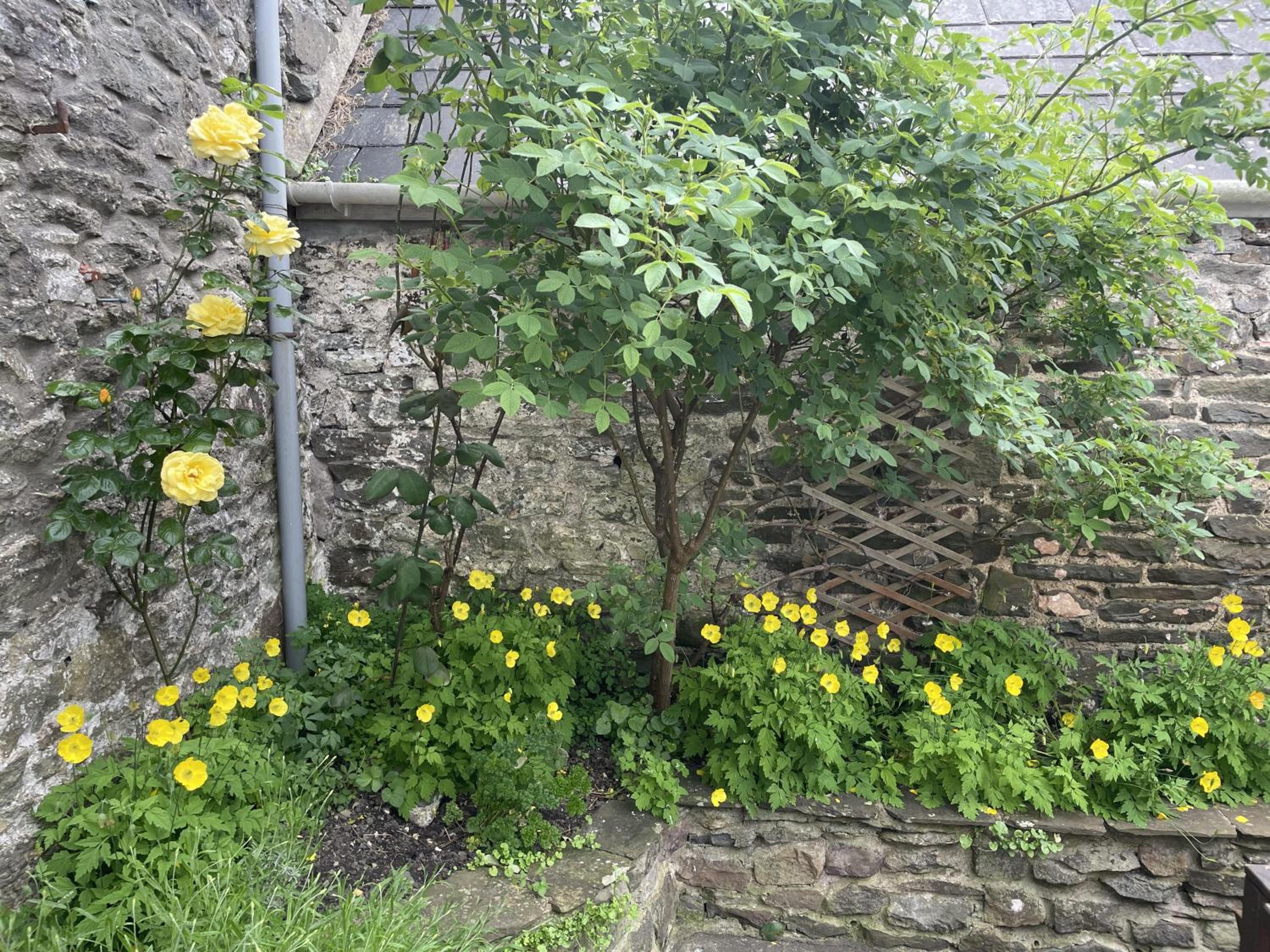 Photo 16