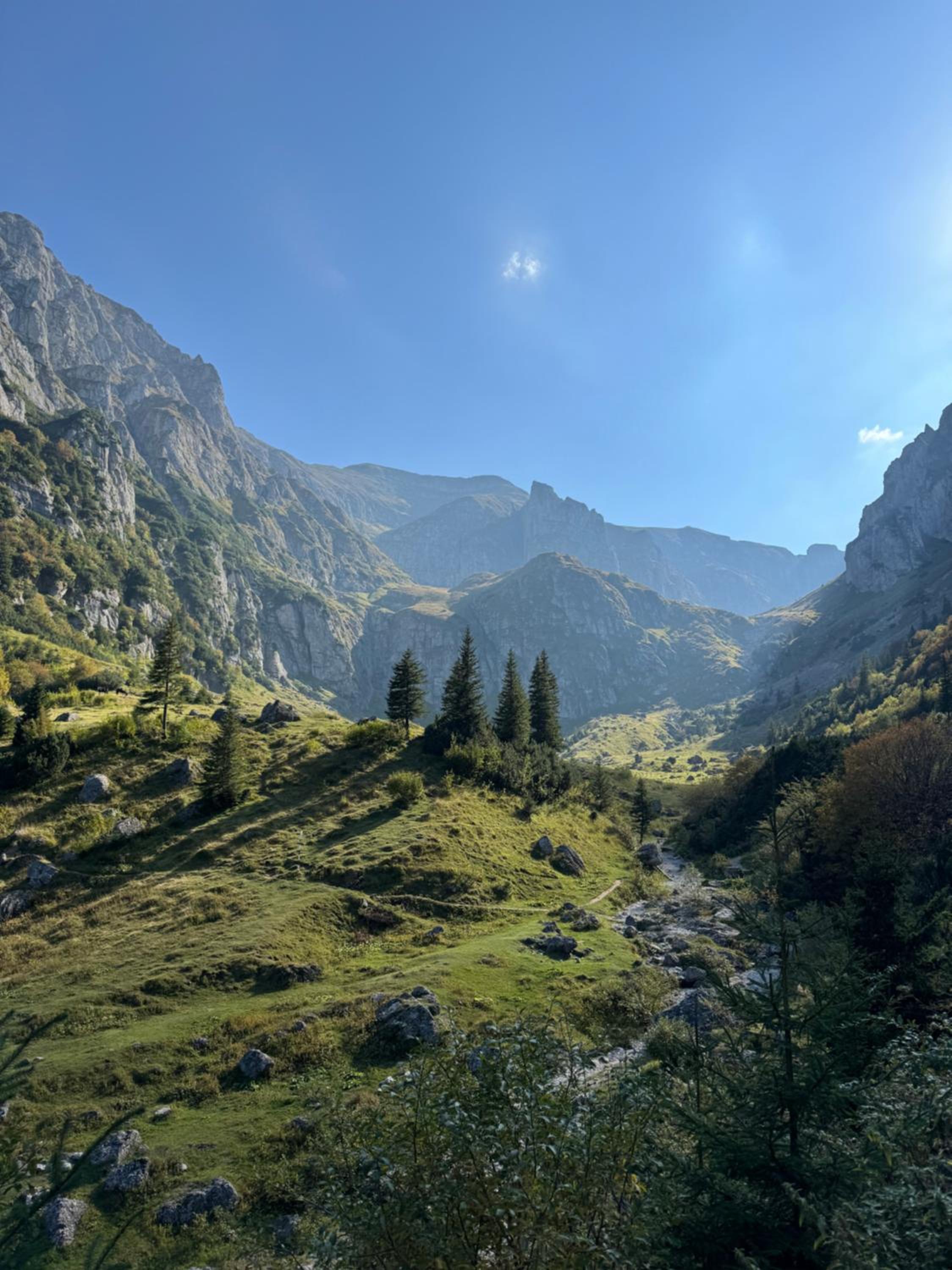 EPIC Vila Brașov, Cristian