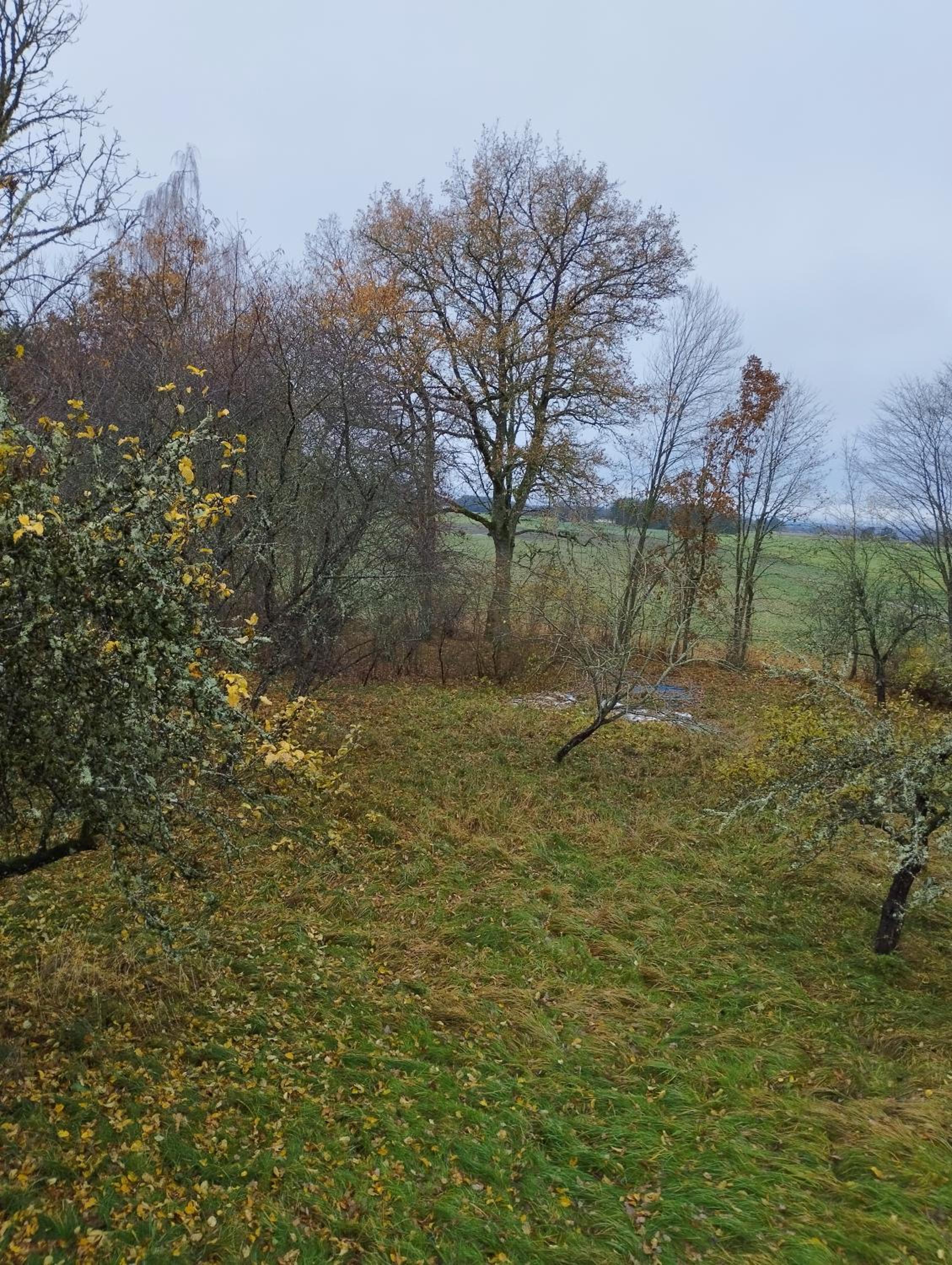 Photo 34