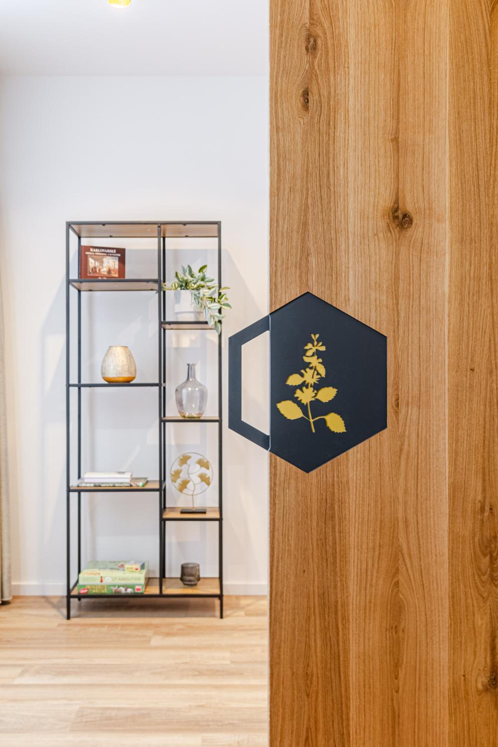 Apartmán Meduňka