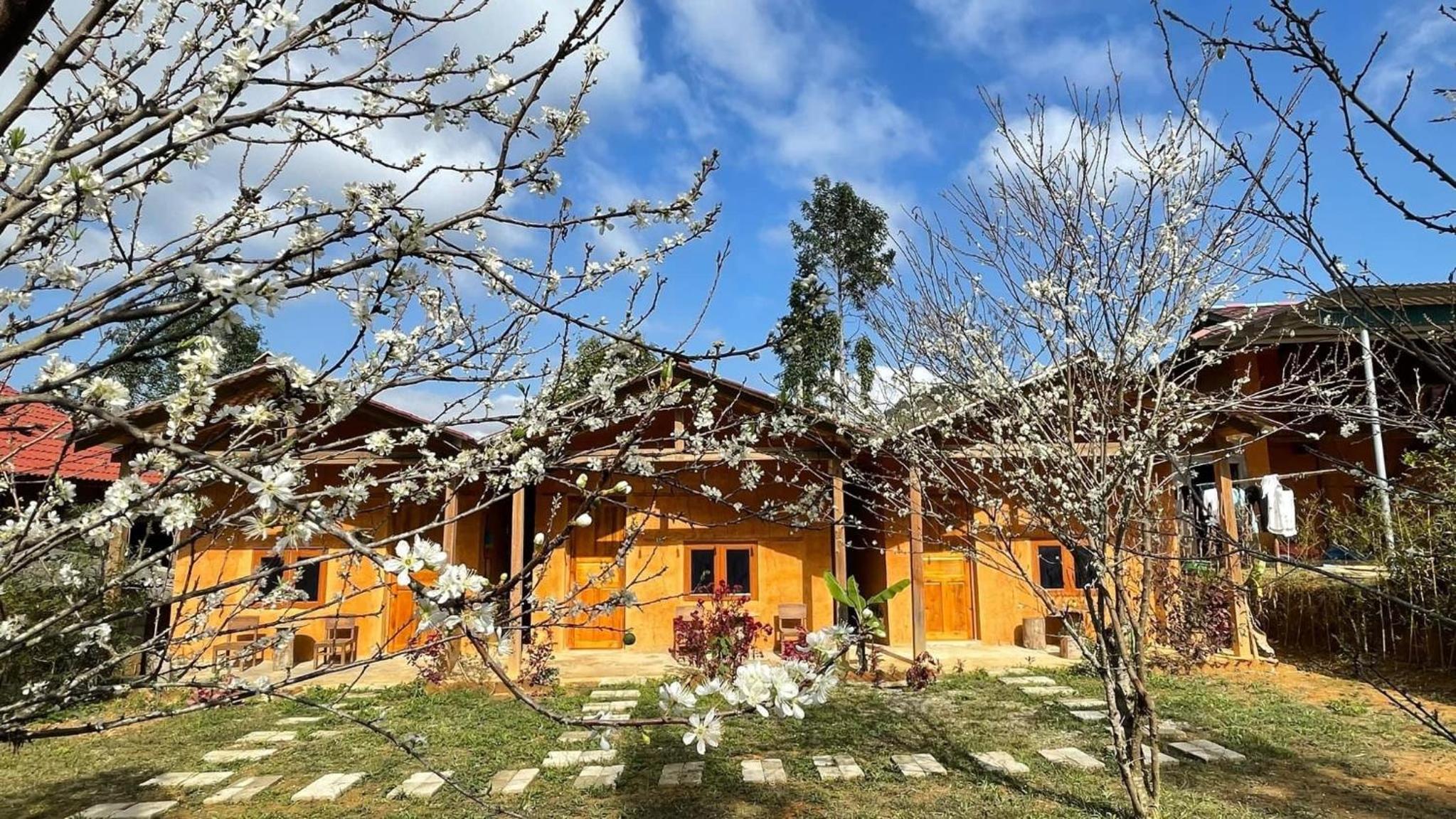 Lý Tà Quân Homestay view 5