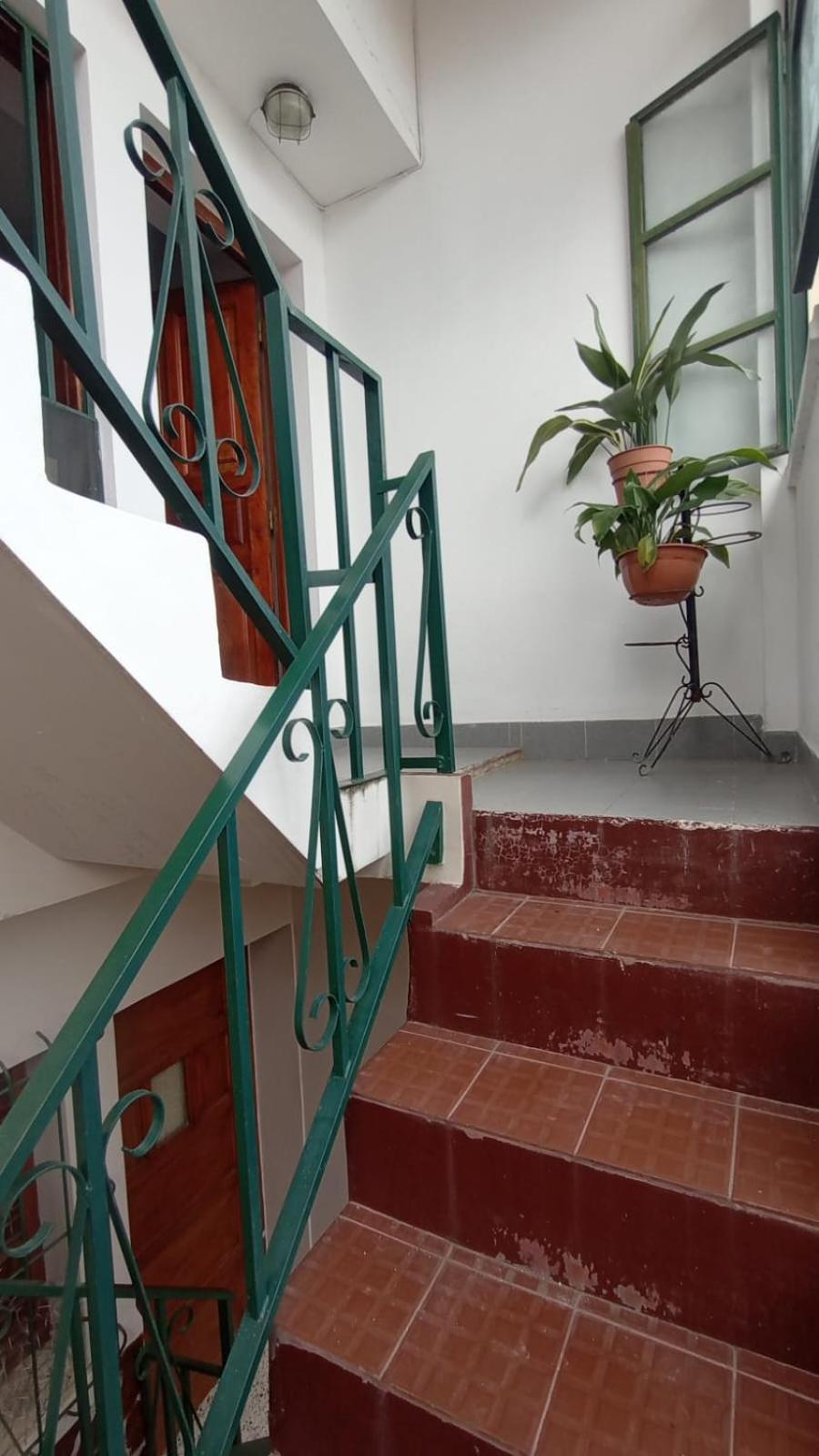 Mirador de Nieva