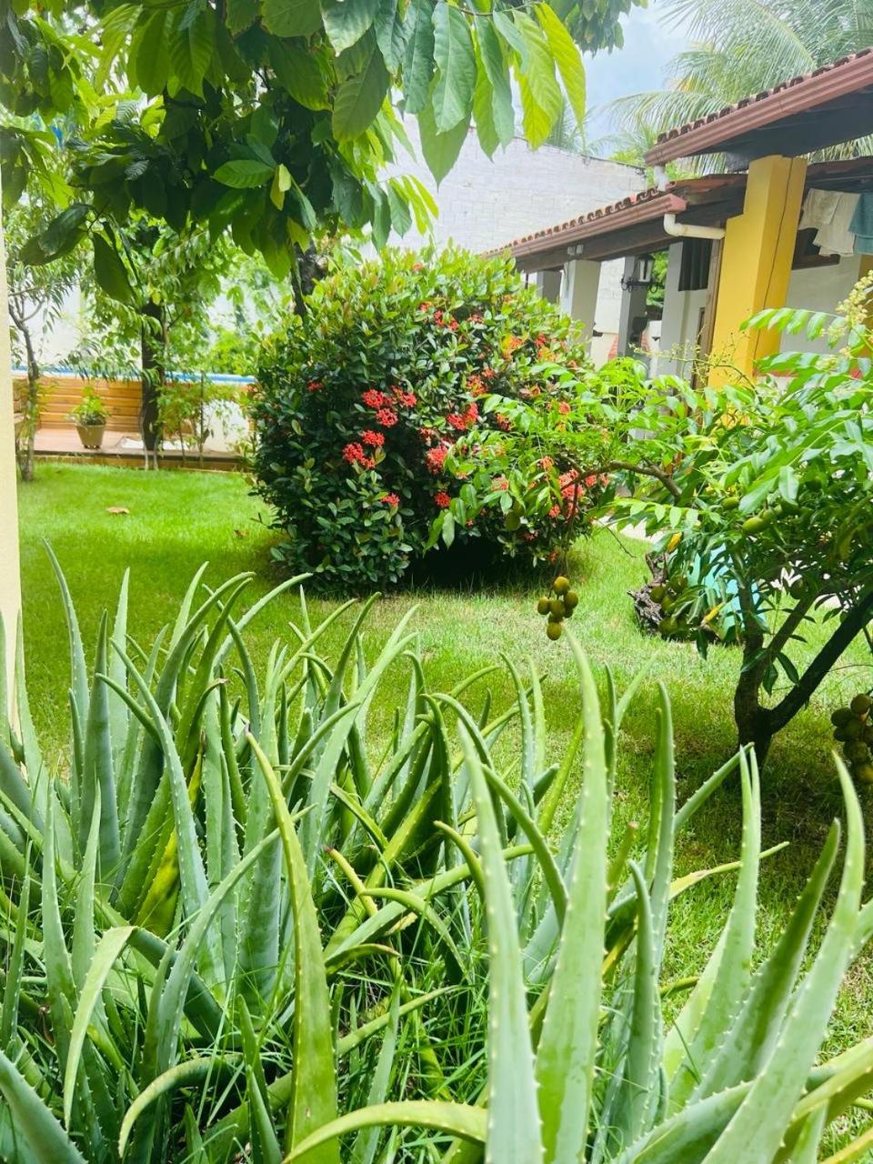 Casa com Piscina