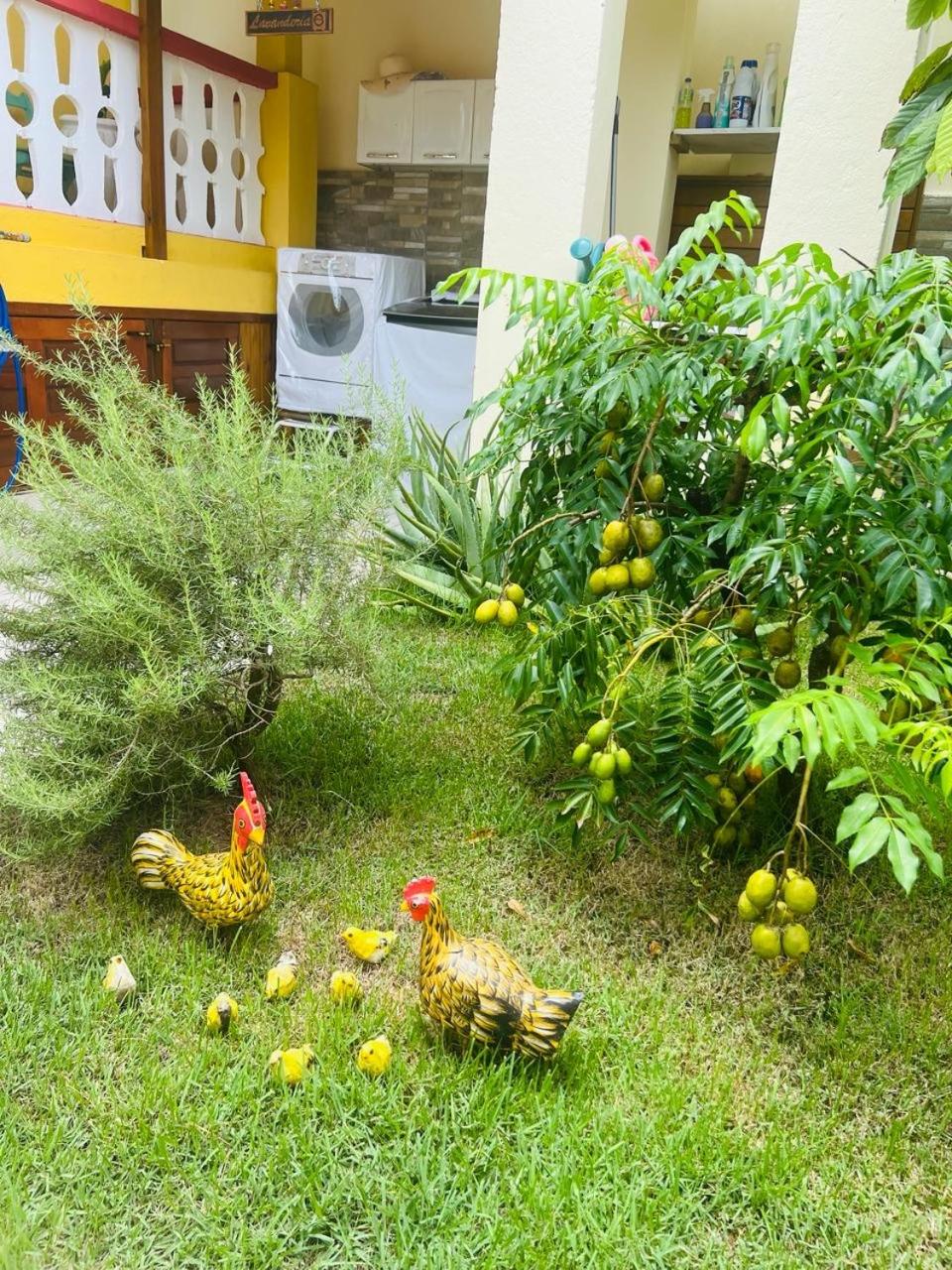 Casa com Piscina