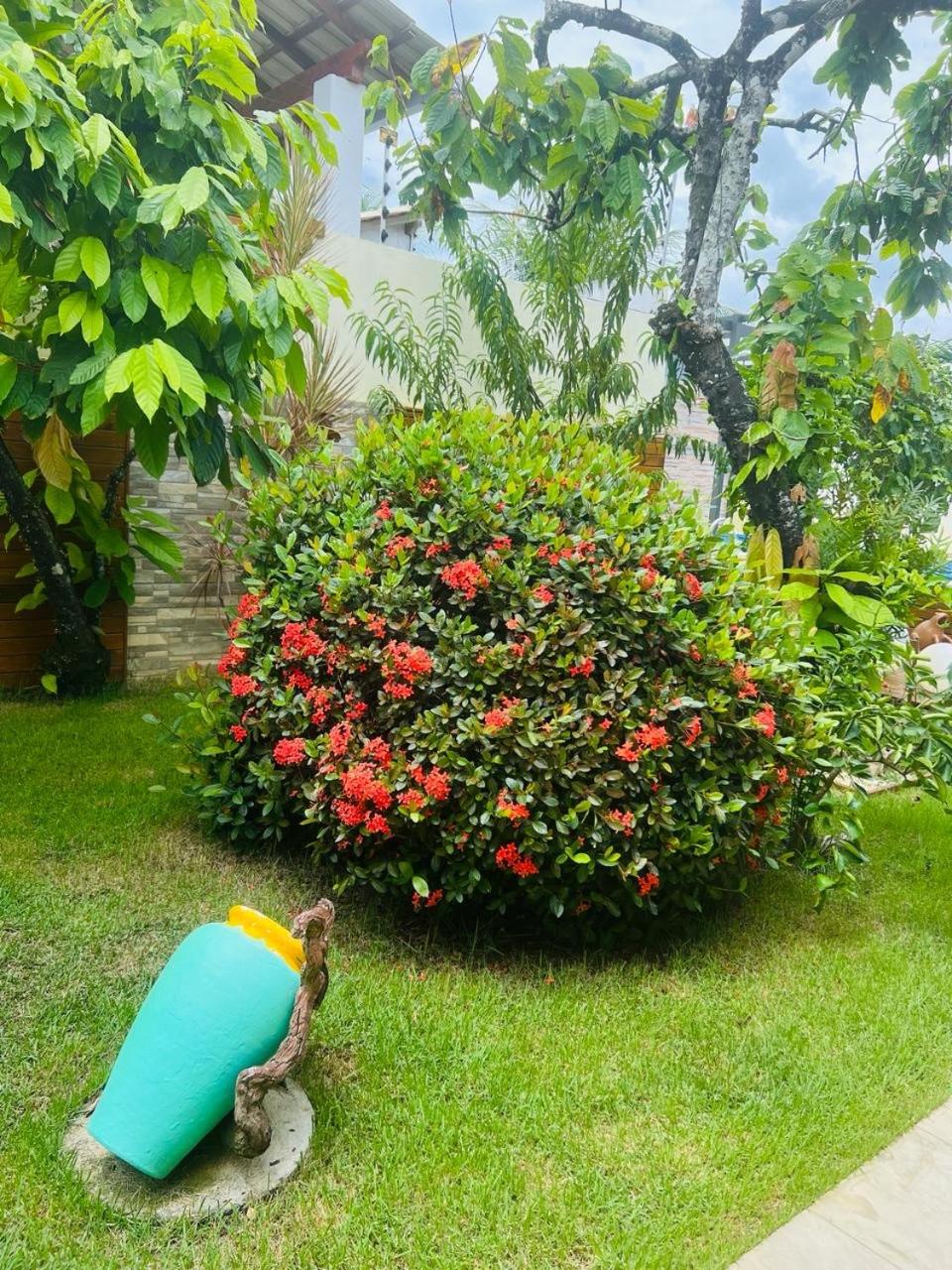 Casa com Piscina