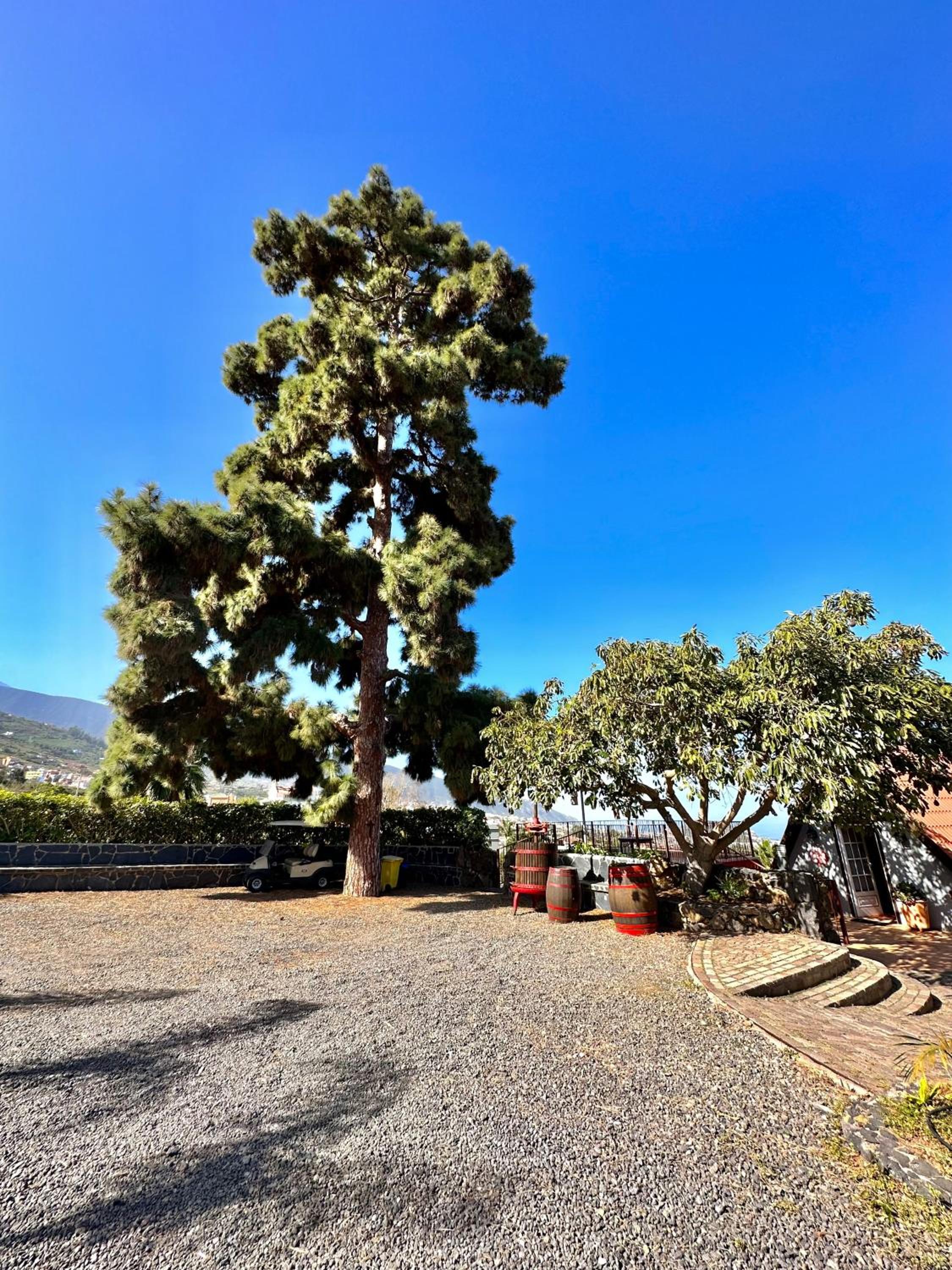 Finca Oscar Burchard